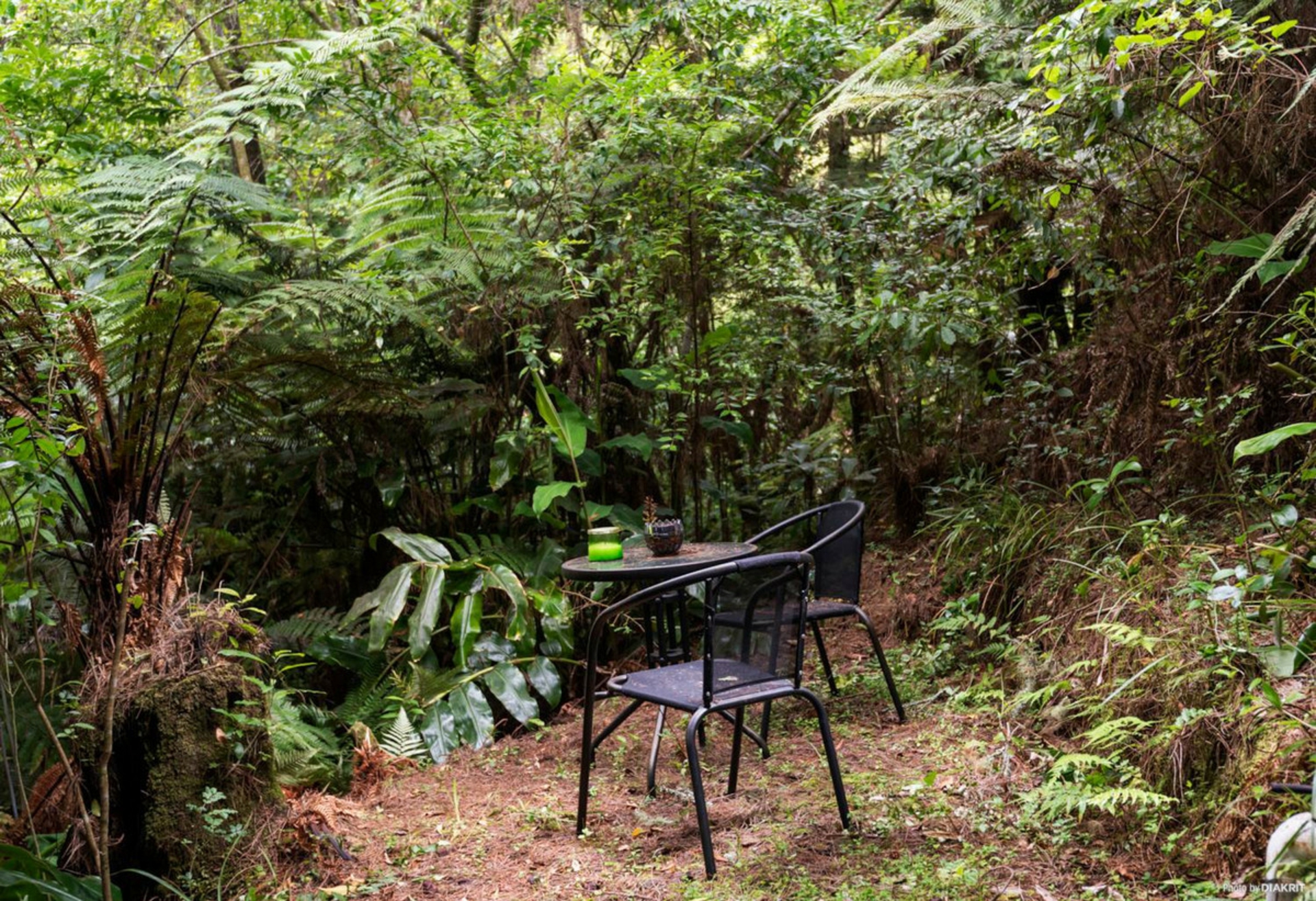 F/27 Rehia Road, MASSEY