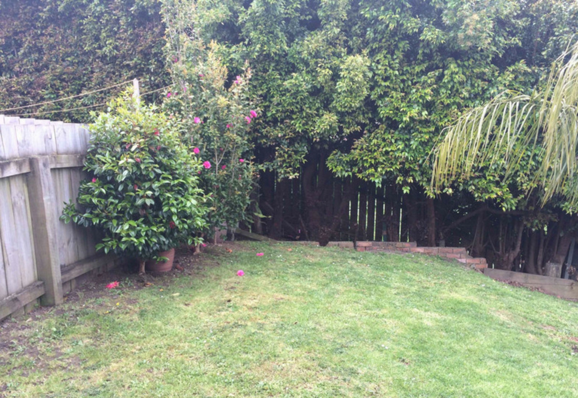 A/186 Waimumu Road, MASSEY