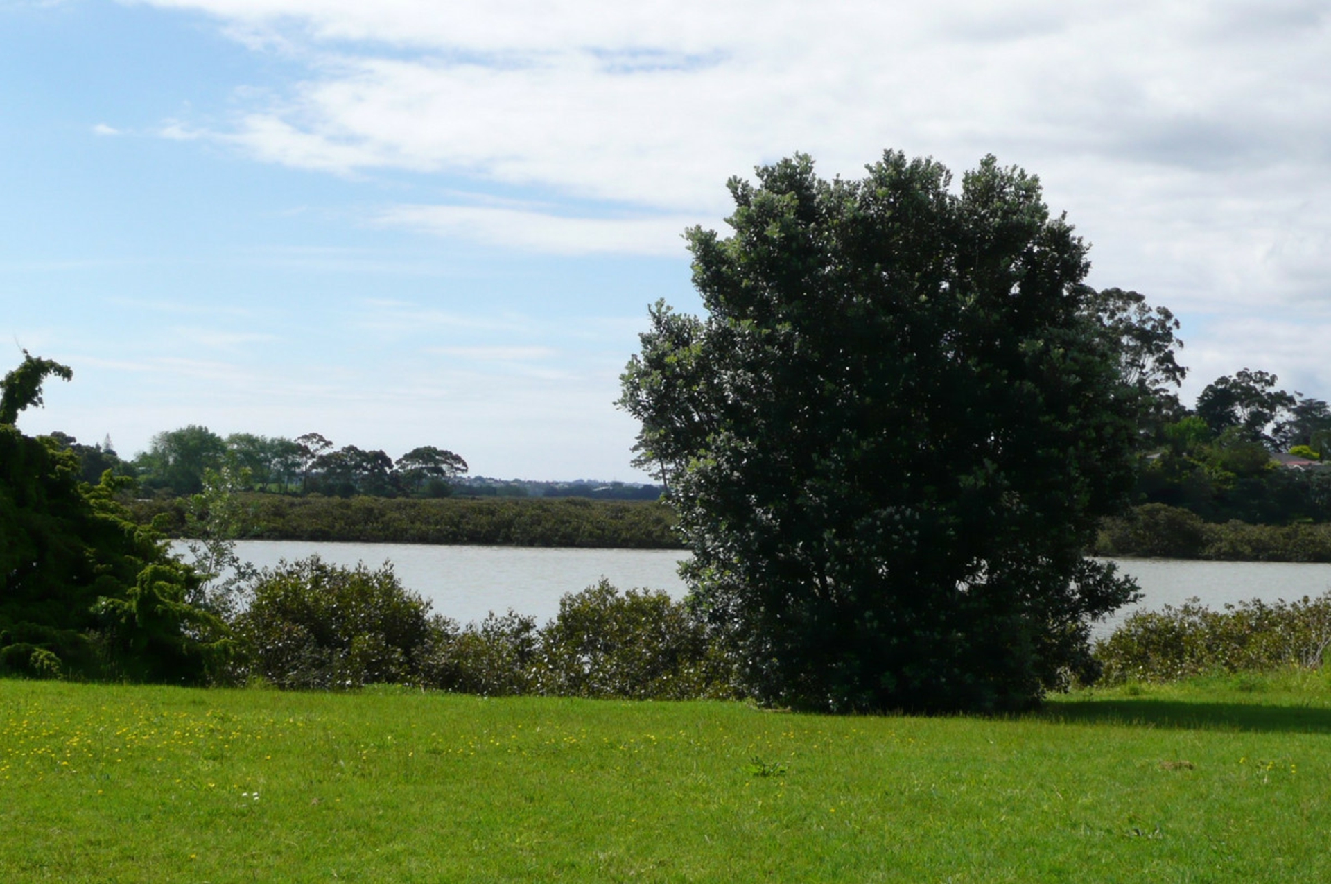 B/48 Queen Mary Avenue, NEW LYNN