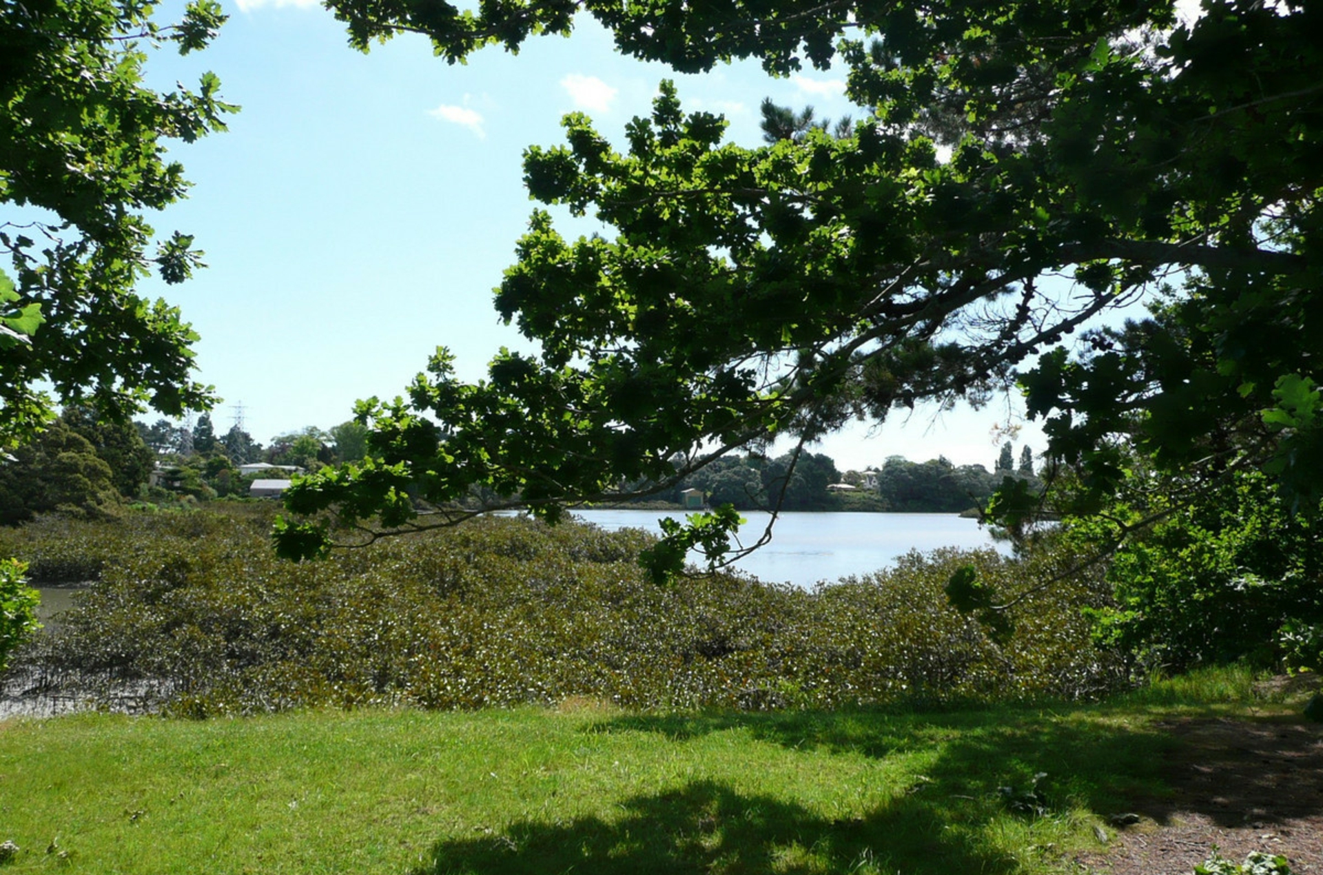 B/48 Queen Mary Avenue, NEW LYNN