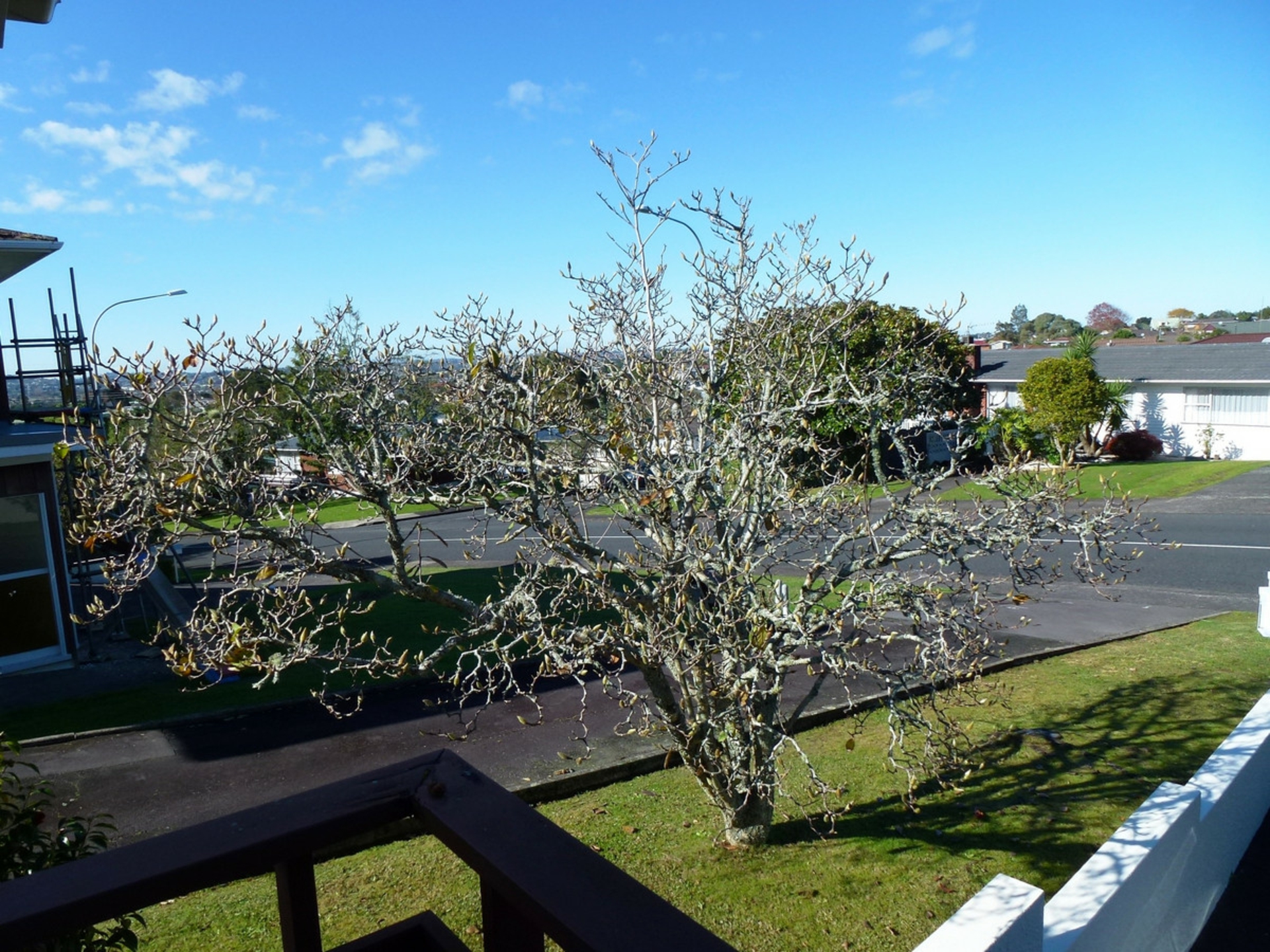 1/12 Felgrove Street, GLENDENE