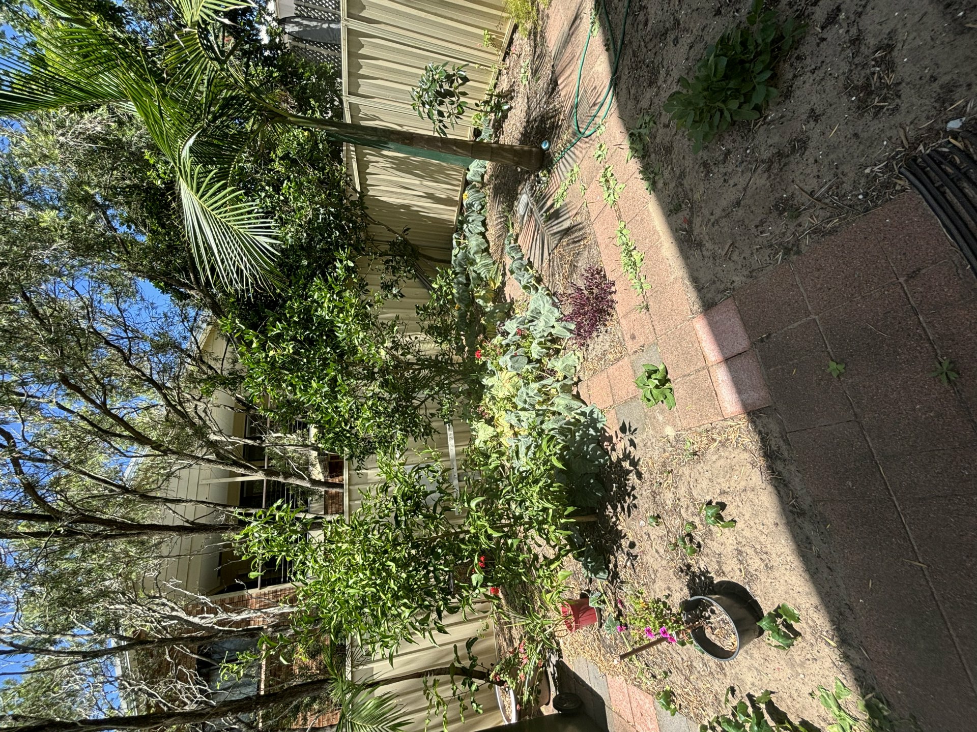 9/23 Robinson Street, ANNA BAY