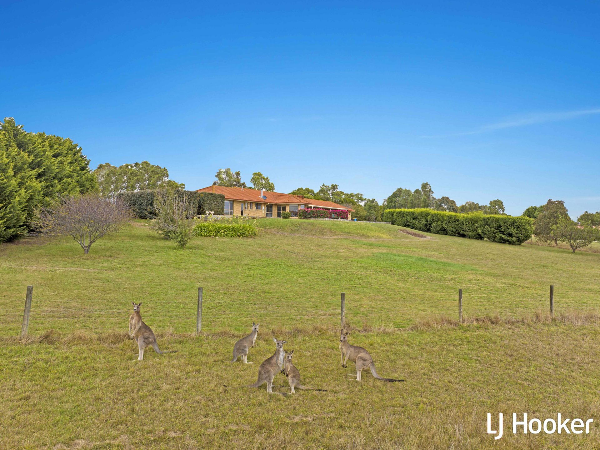 3 Lookout Rise Hidden Valley VIC House for Sale LJ Hooker