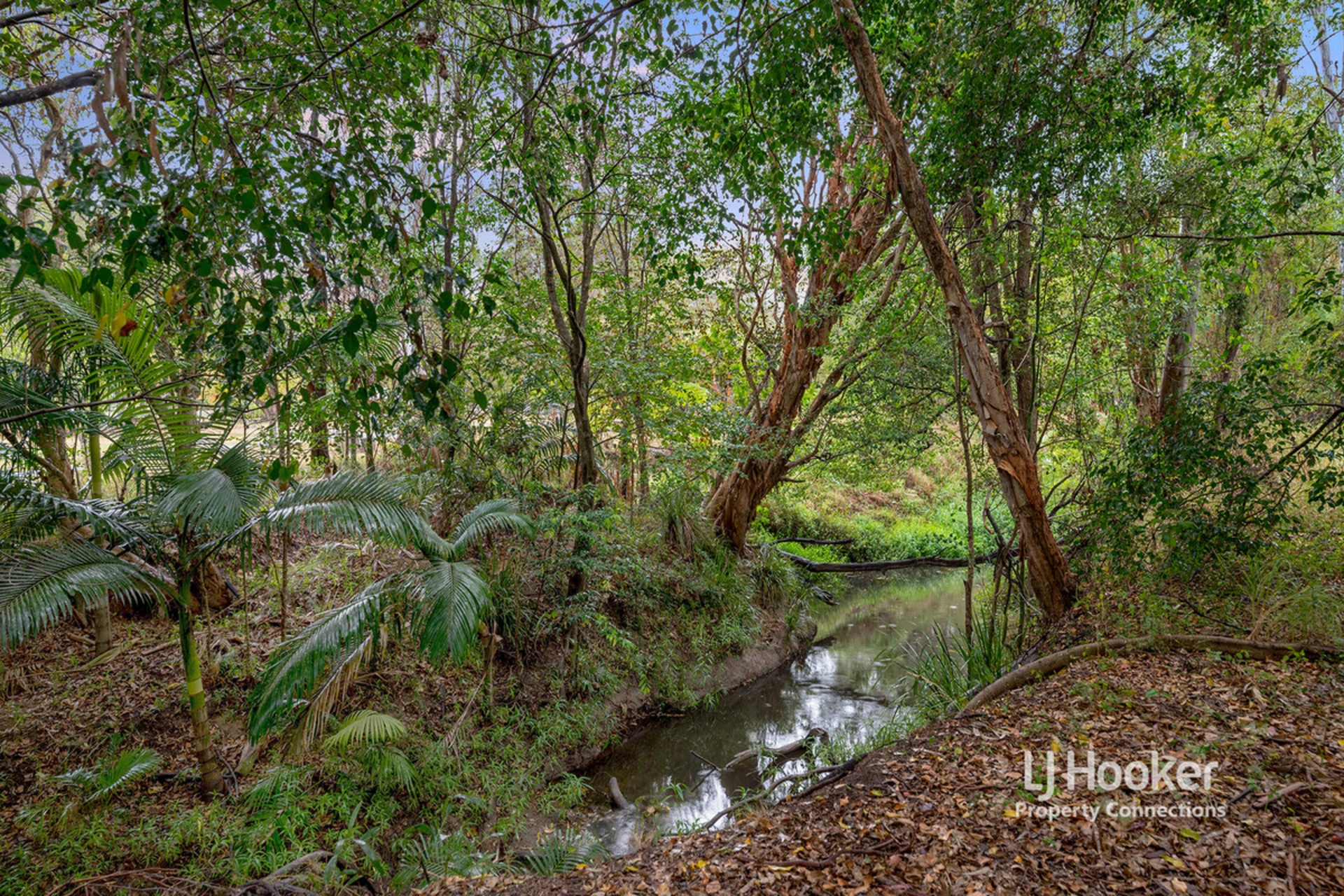 88 Idonia Street, BRIDGEMAN DOWNS
