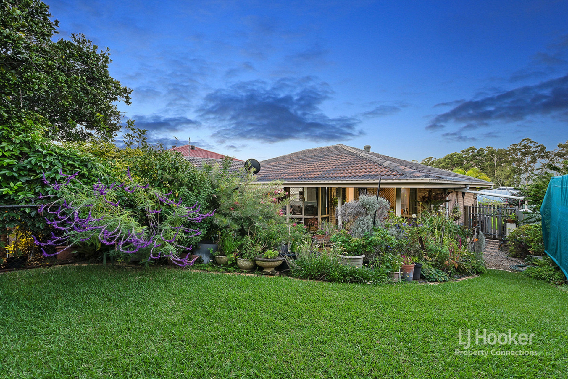 50 Paramount Drive, WARNER