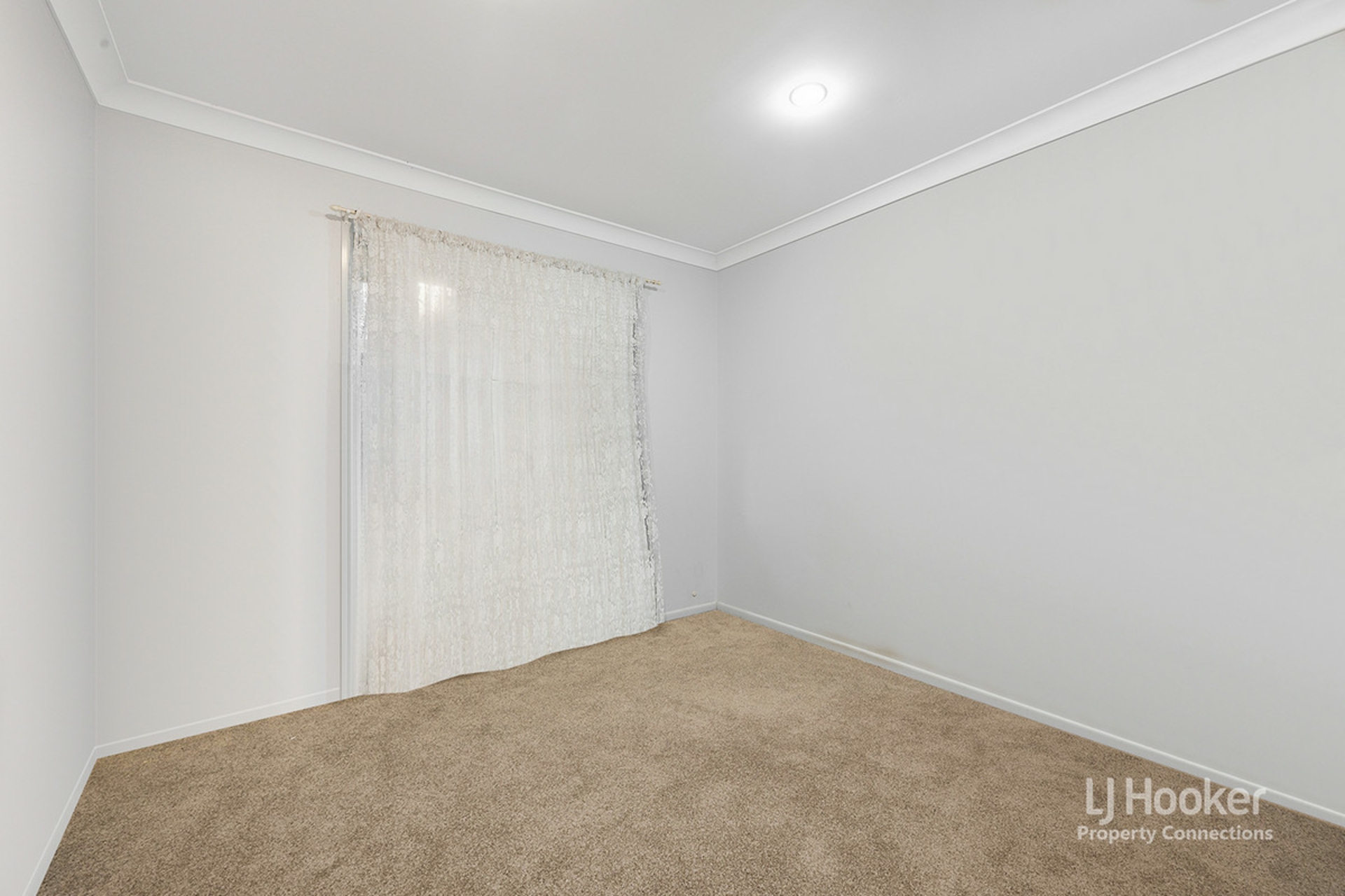 50 Paramount Drive, WARNER