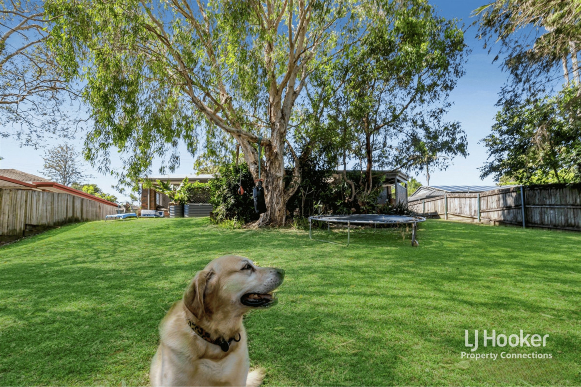 9 Flamingo Drive, ALBANY CREEK