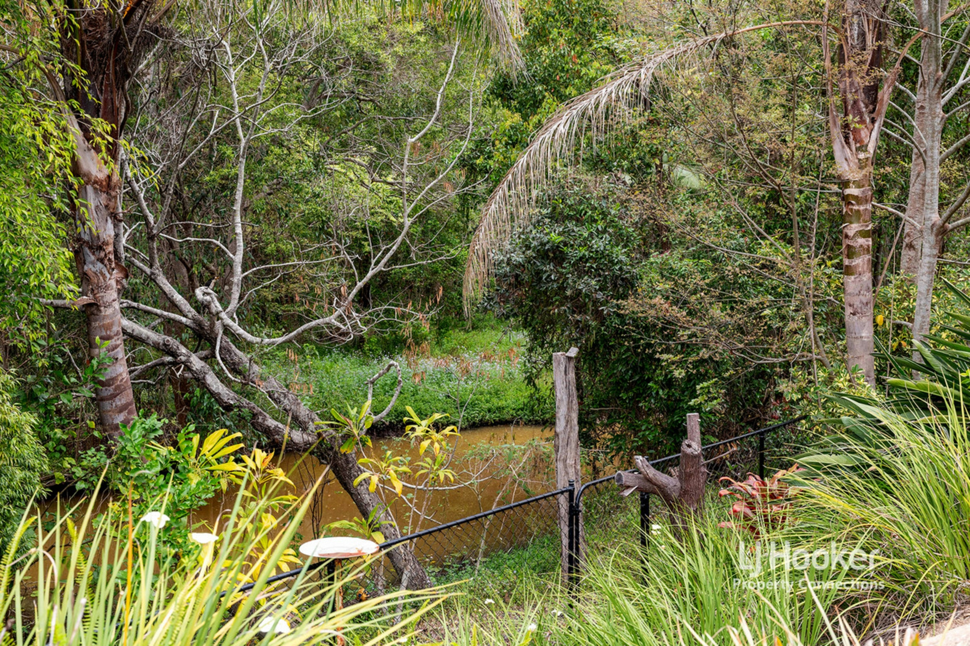 25 Silkyoak Way, ALBANY CREEK