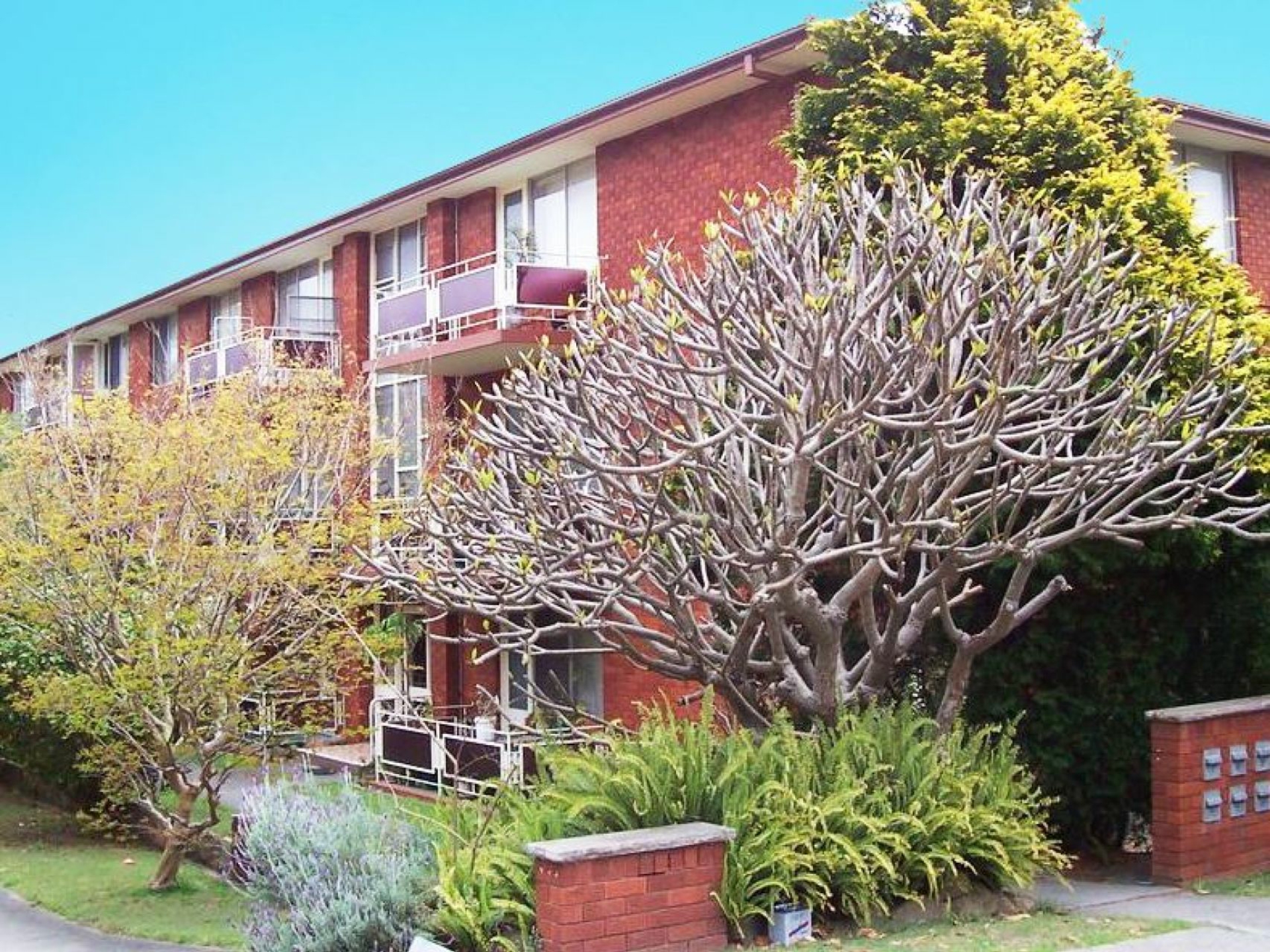 11/15 Koorala Street, MANLY VALE