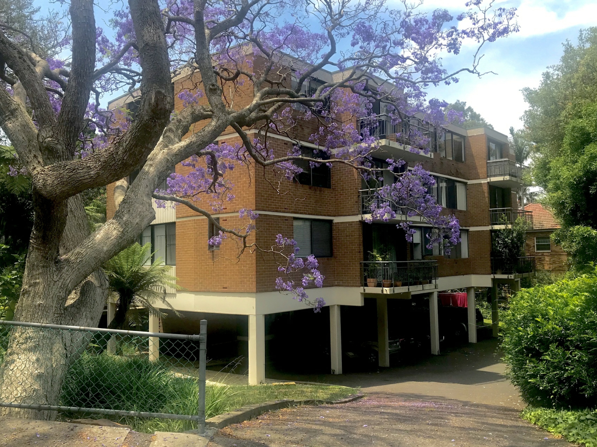 3/69 Shellcove Road, NEUTRAL BAY
