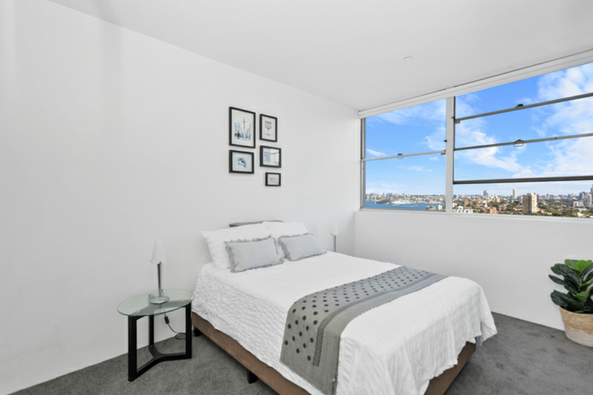 67/441 Alfred Street North, NEUTRAL BAY