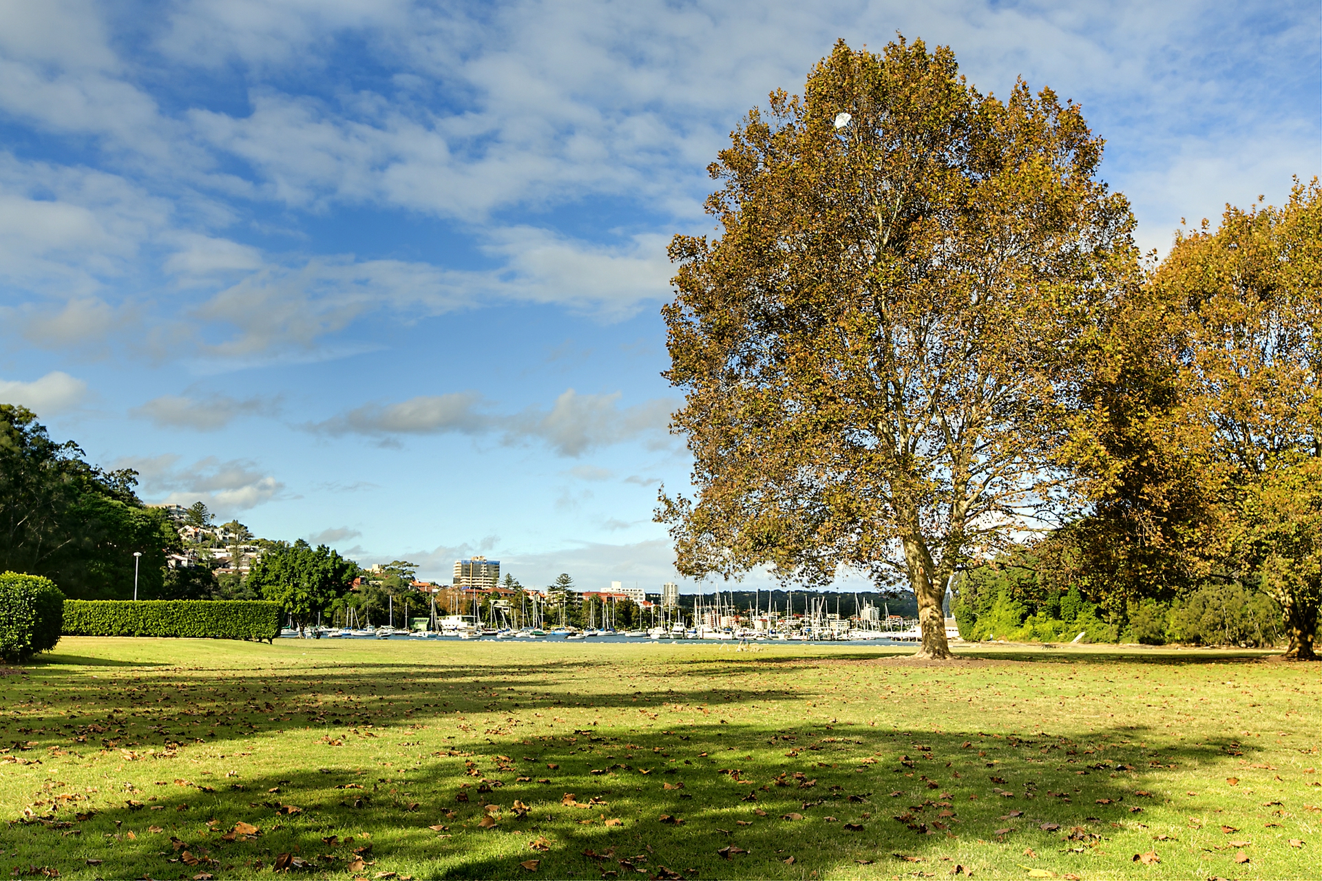 1/149 Condamine Street, BALGOWLAH