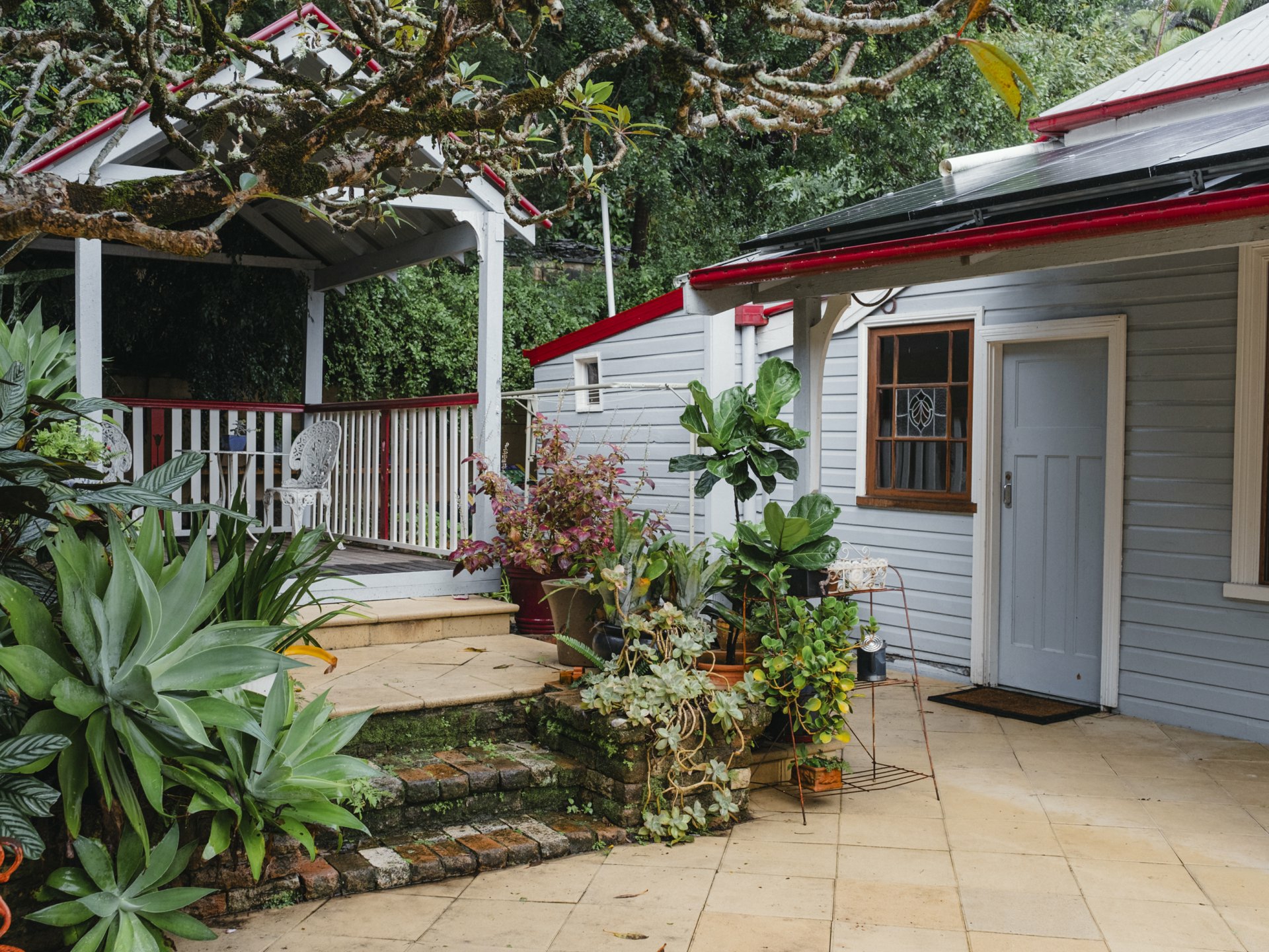 7 Esmonde Street Girards Hill NSW House for Sale LJ Hooker