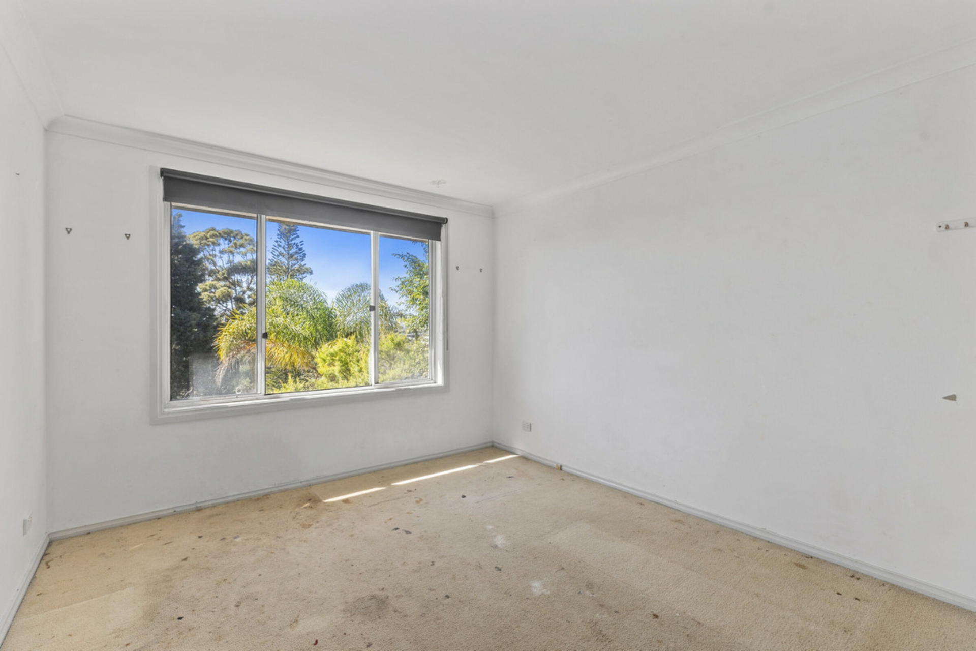 4 Alimah Close — photo 10 of 17