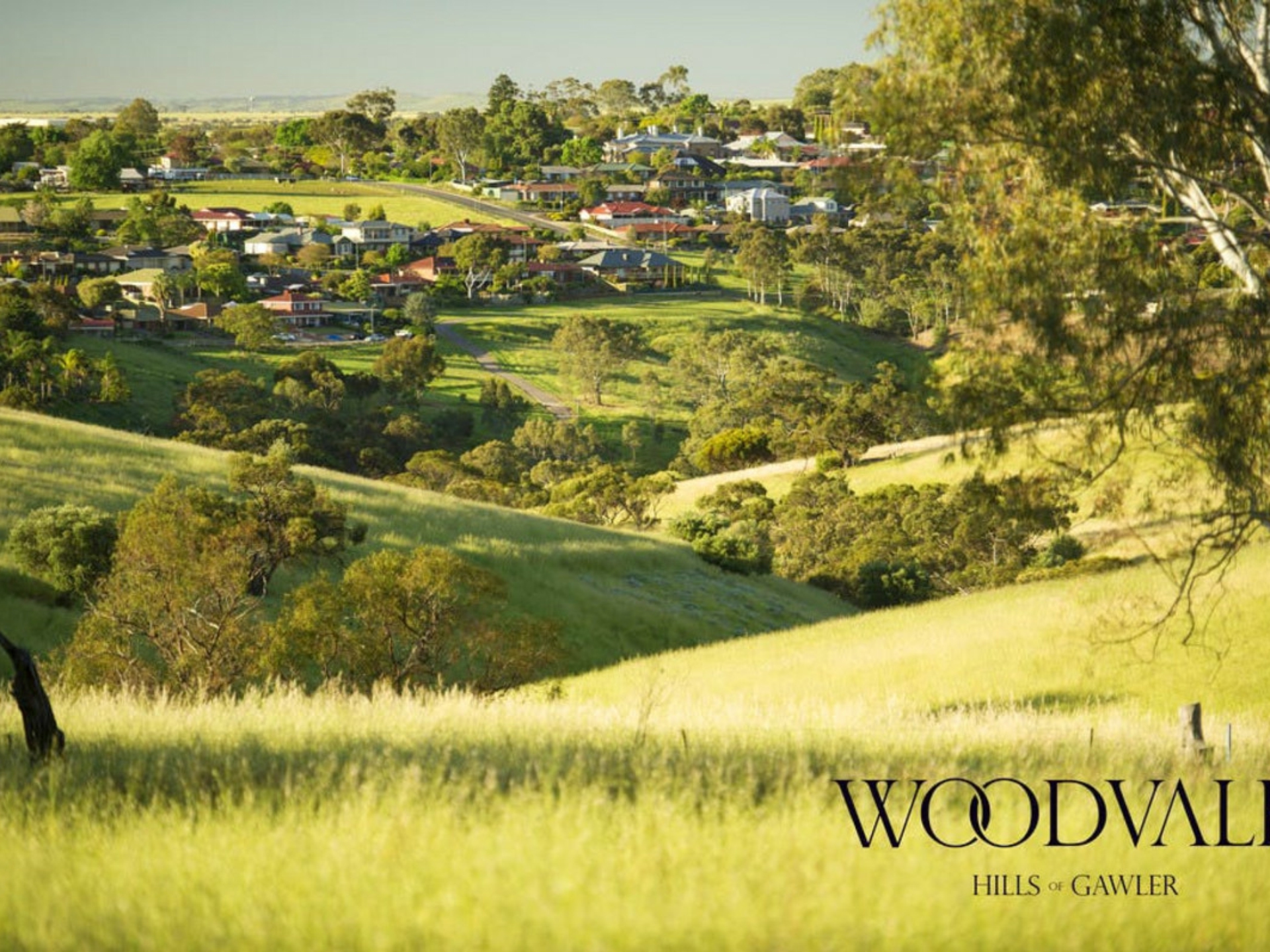 Lot 106/ Sullivan Grove Gawler South SA Property Details LJ Hooker