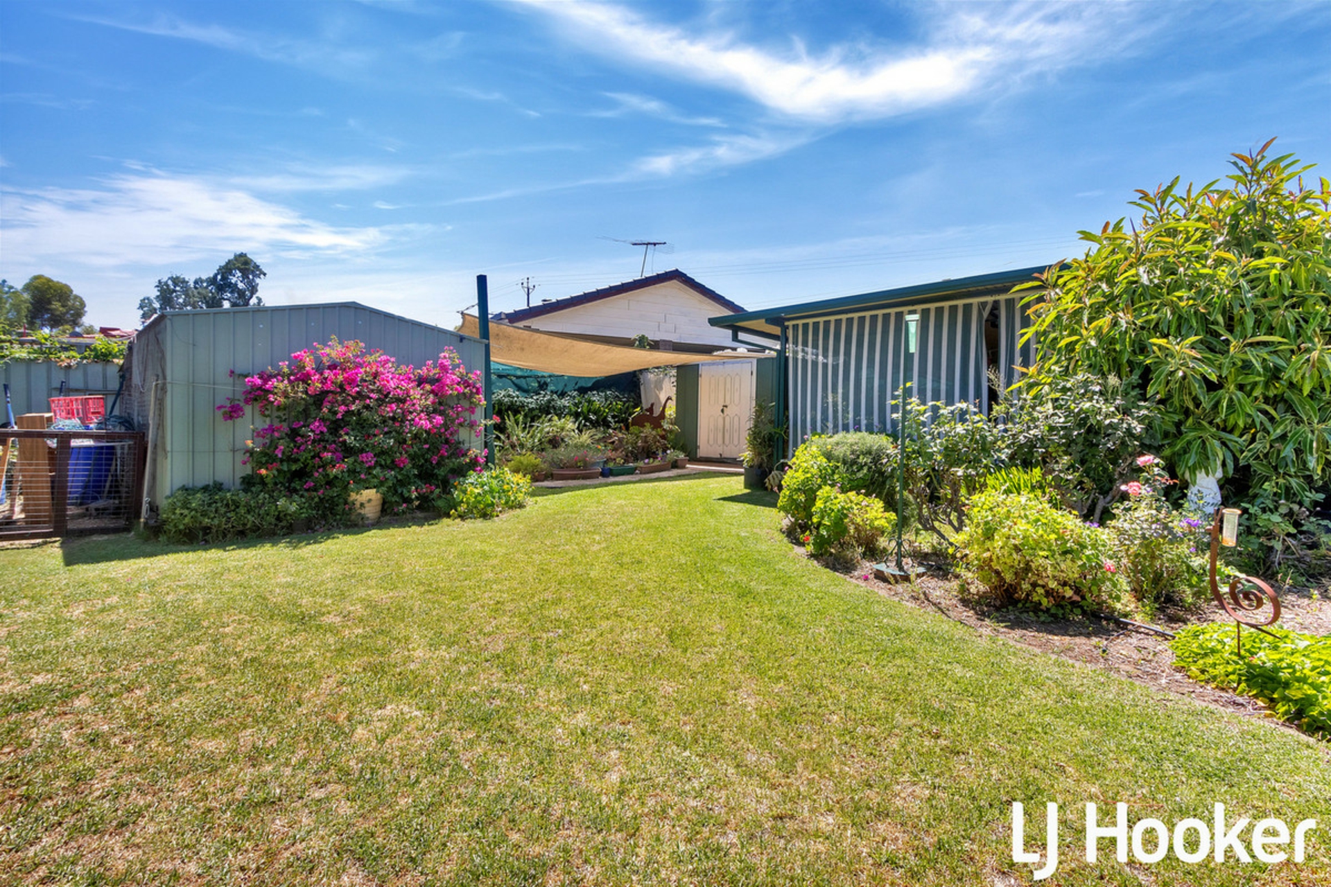54 Murray Road Willaston SA House for Sale LJ Hooker