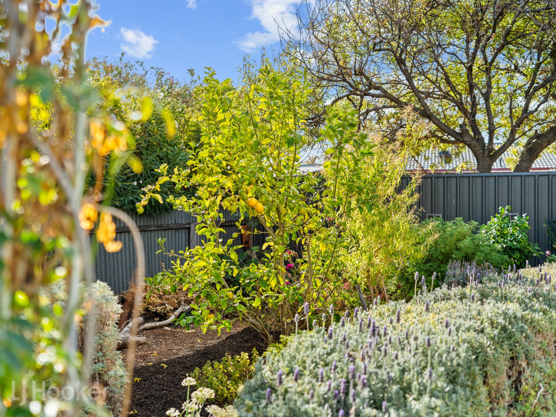 39 Aldam Road, PORT NOARLUNGA SOUTH