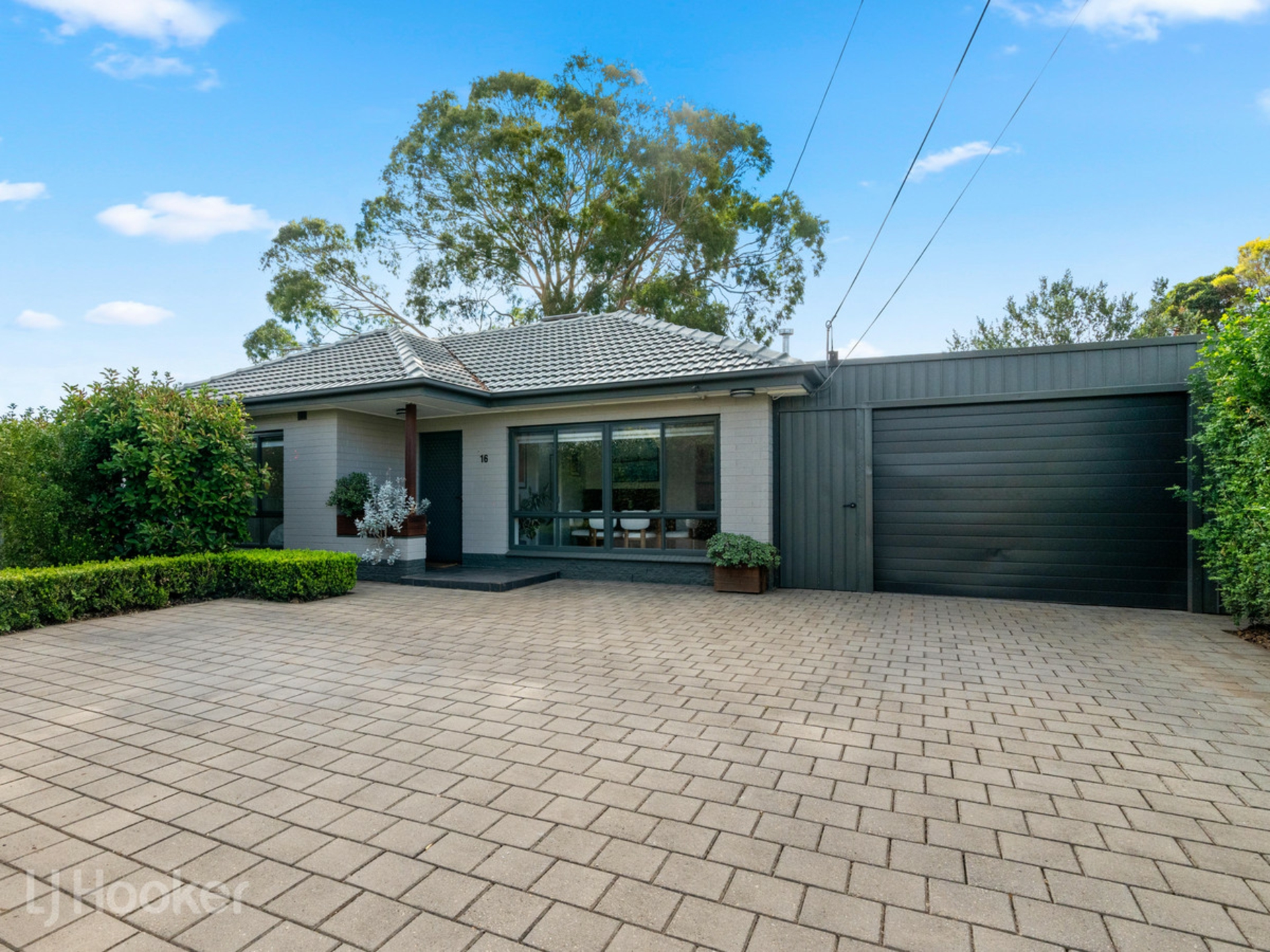 16 Tindara Avenue, WINDSOR GARDENS