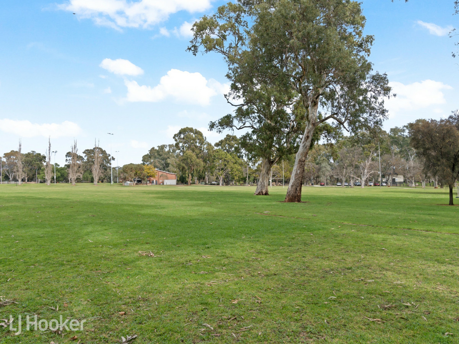 24 Roslind Street — photo 19 of 19