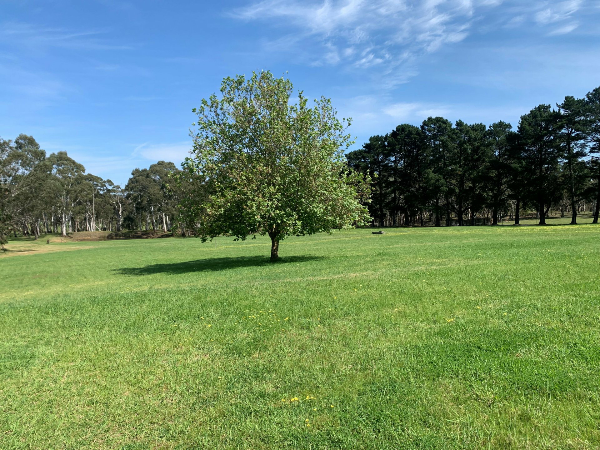 70 Darby Lane, ECHUNGA