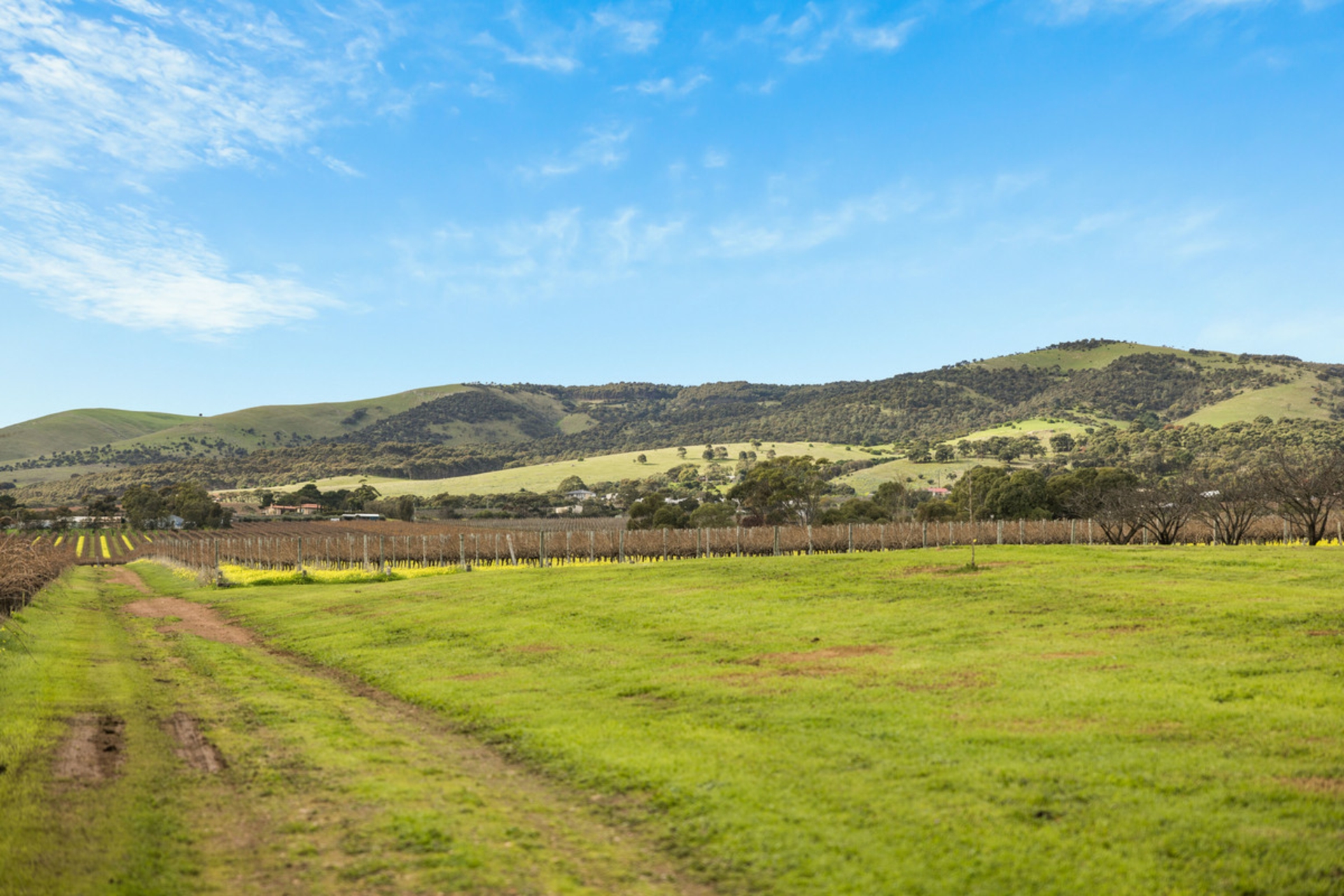 3737 Main South Road, SELLICKS HILL