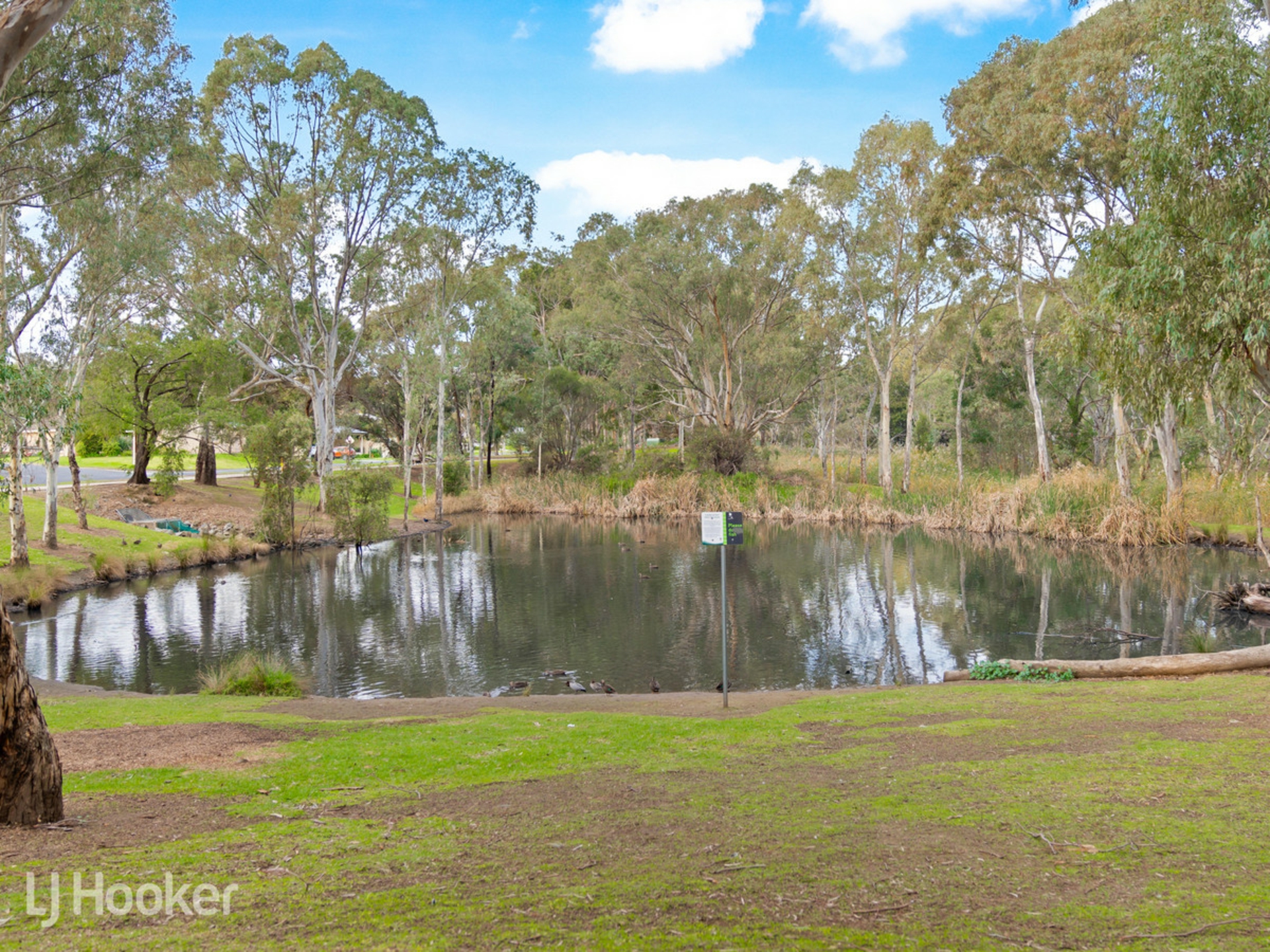 16 Karri Drive, DERNANCOURT