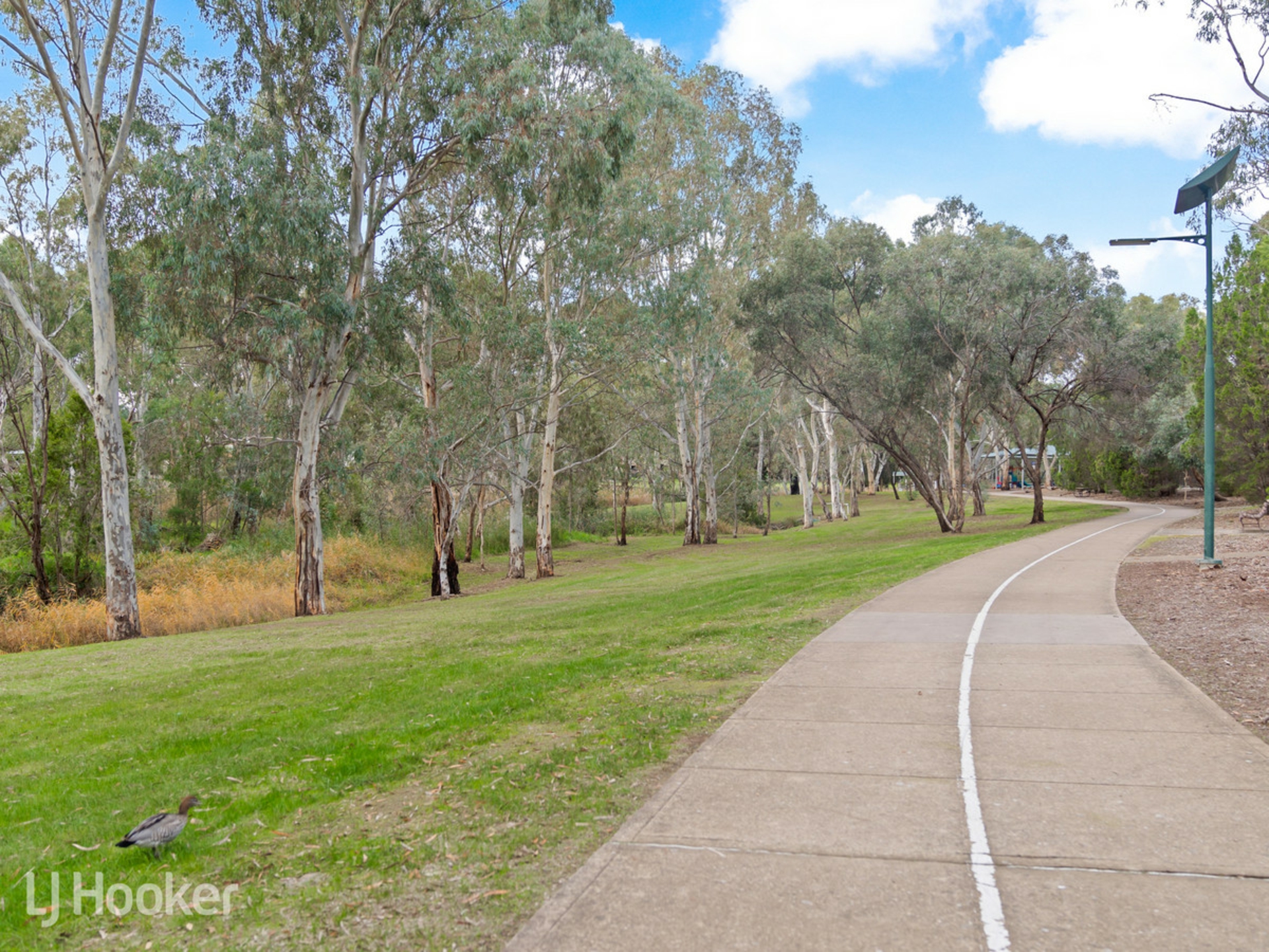16 Karri Drive, DERNANCOURT