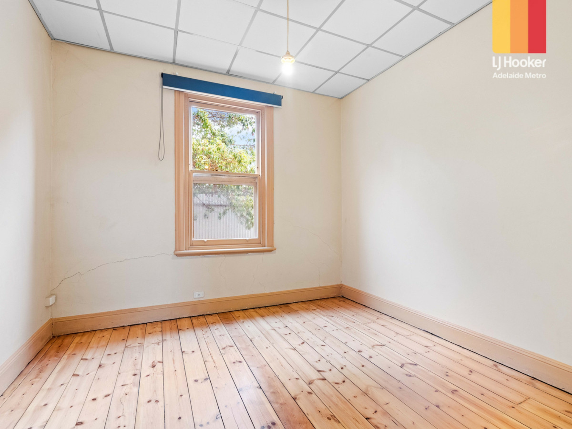 3 Salter Street, KENSINGTON