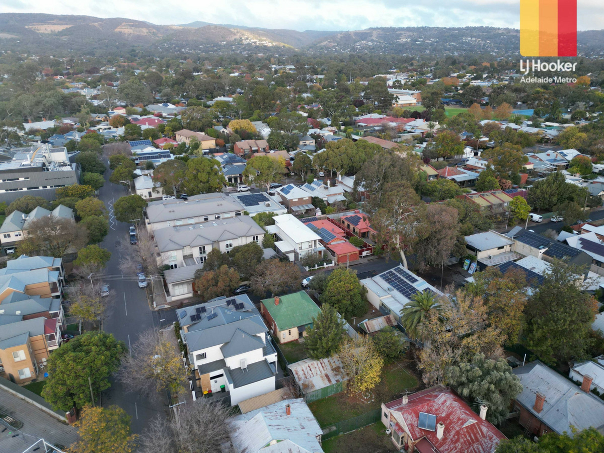 3 Salter Street, KENSINGTON