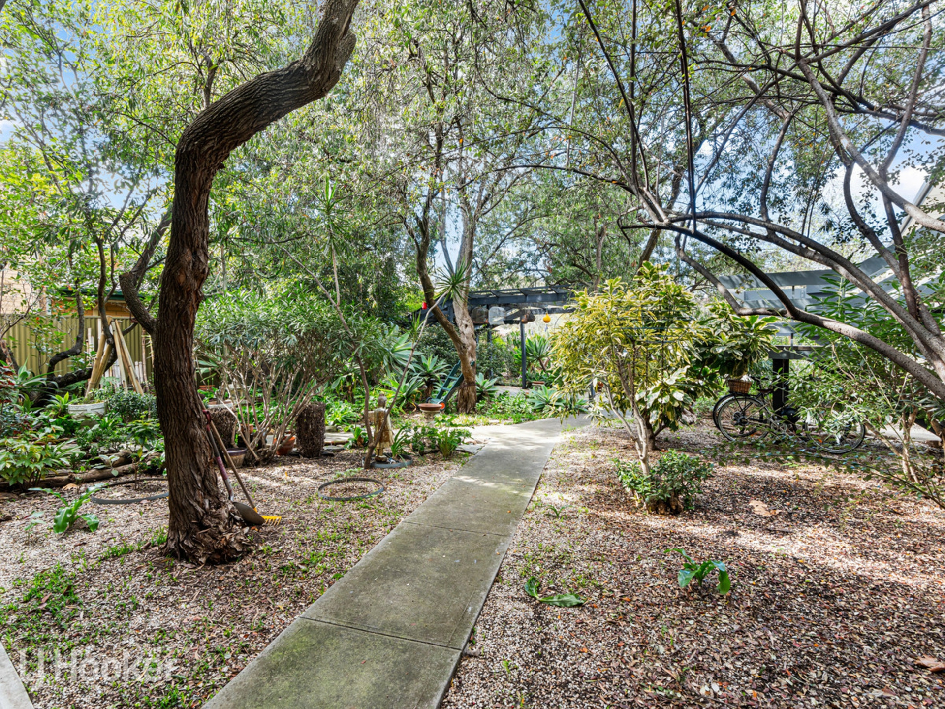 5/7 Wakefield Street — photo 3 of 14