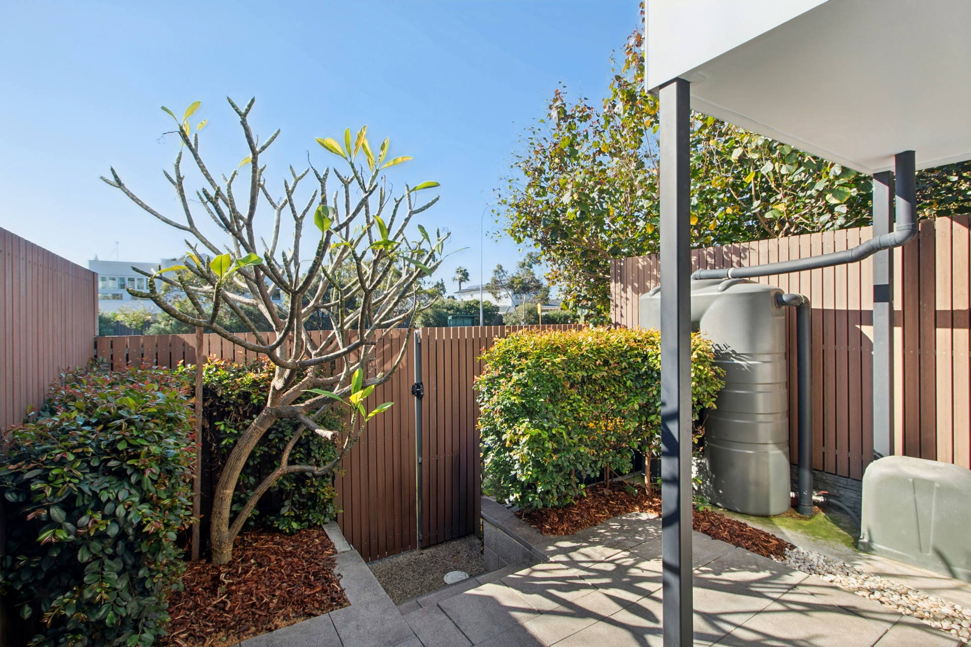 51 Colton Street, WEST LAKES