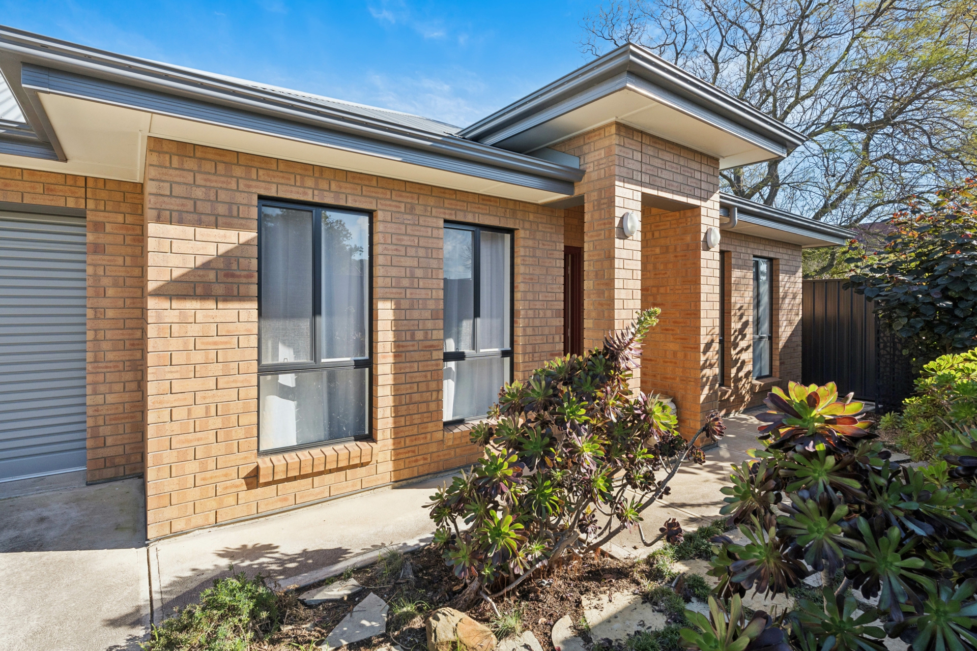 41 Workman Street — photo from LJ Hooker West Lakes | Henley Beach