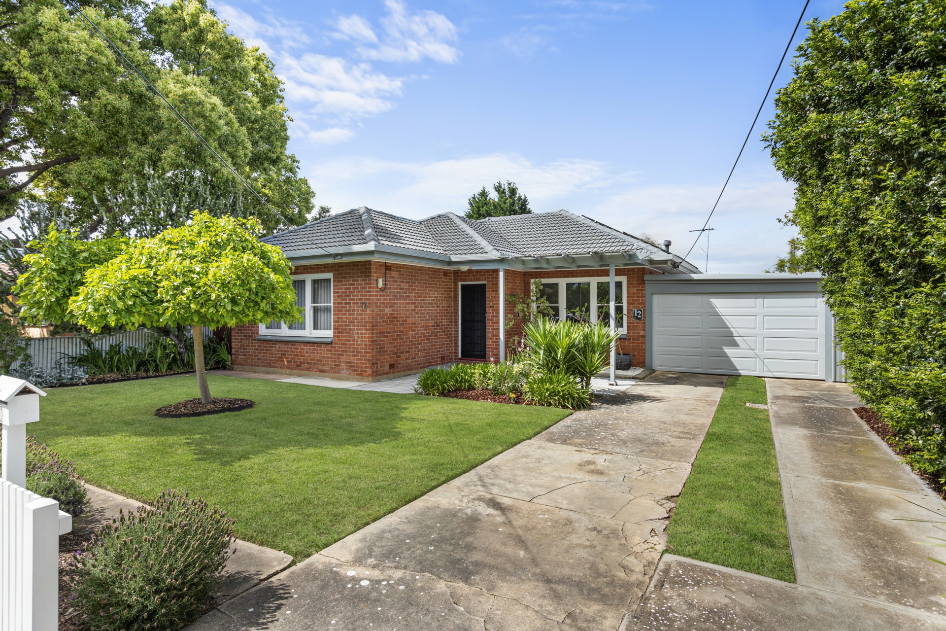 12 Hector Street — photo 2 of 27