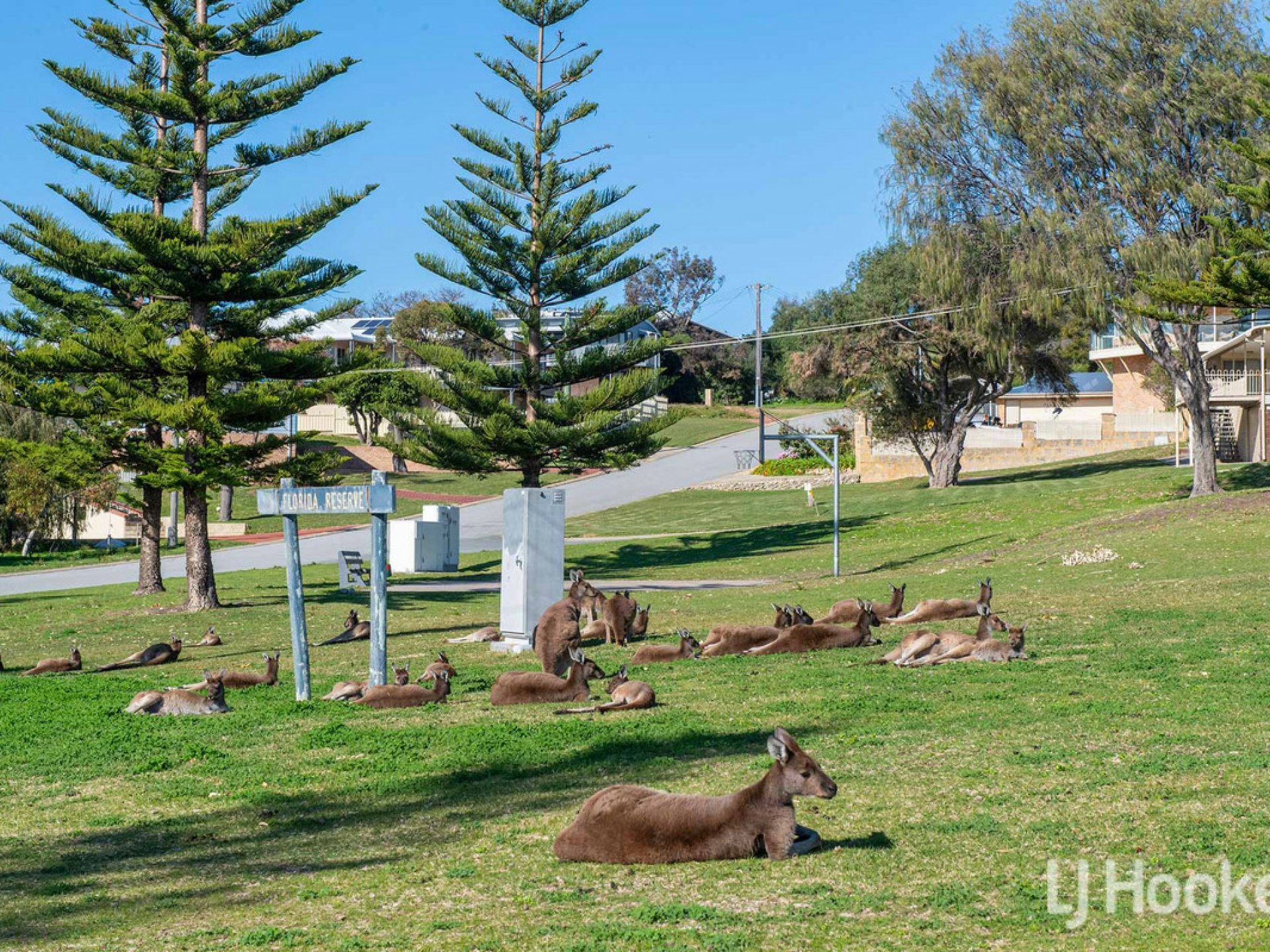 6 Hazelmere Drive, DAWESVILLE