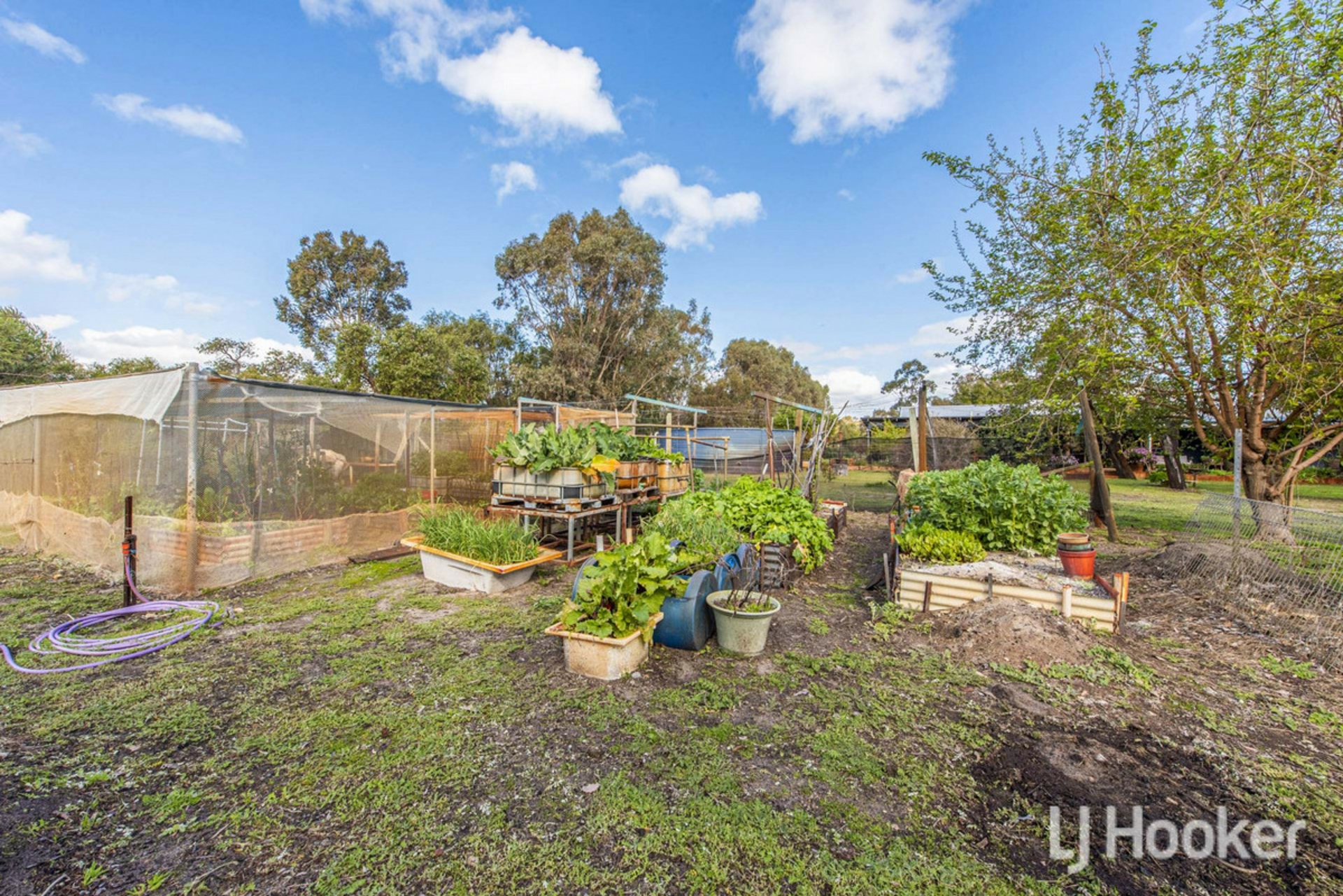 111 Kangaroo Loop — photo 28 of 30