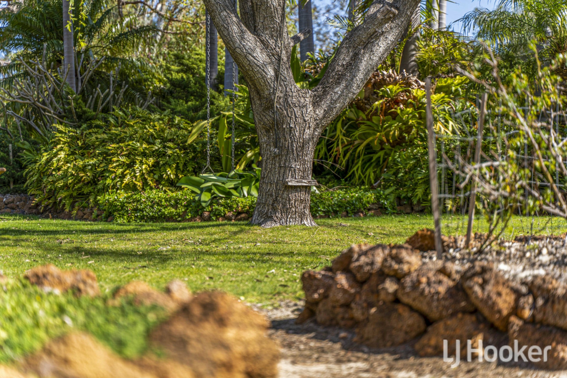 403 Mulga Drive — photo 9 of 30