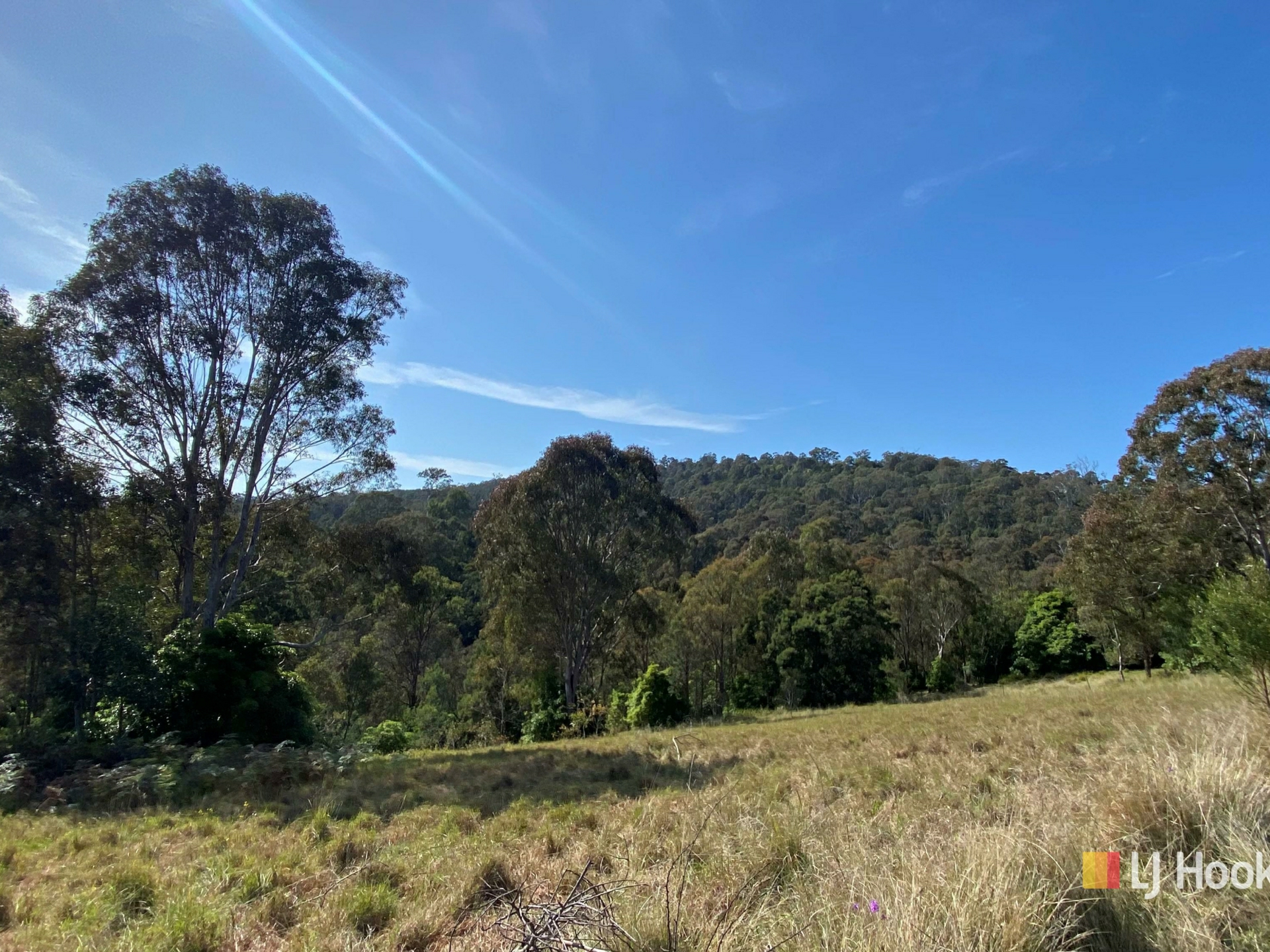 193 Black Range Road Bega NSW Property Details LJ Hooker