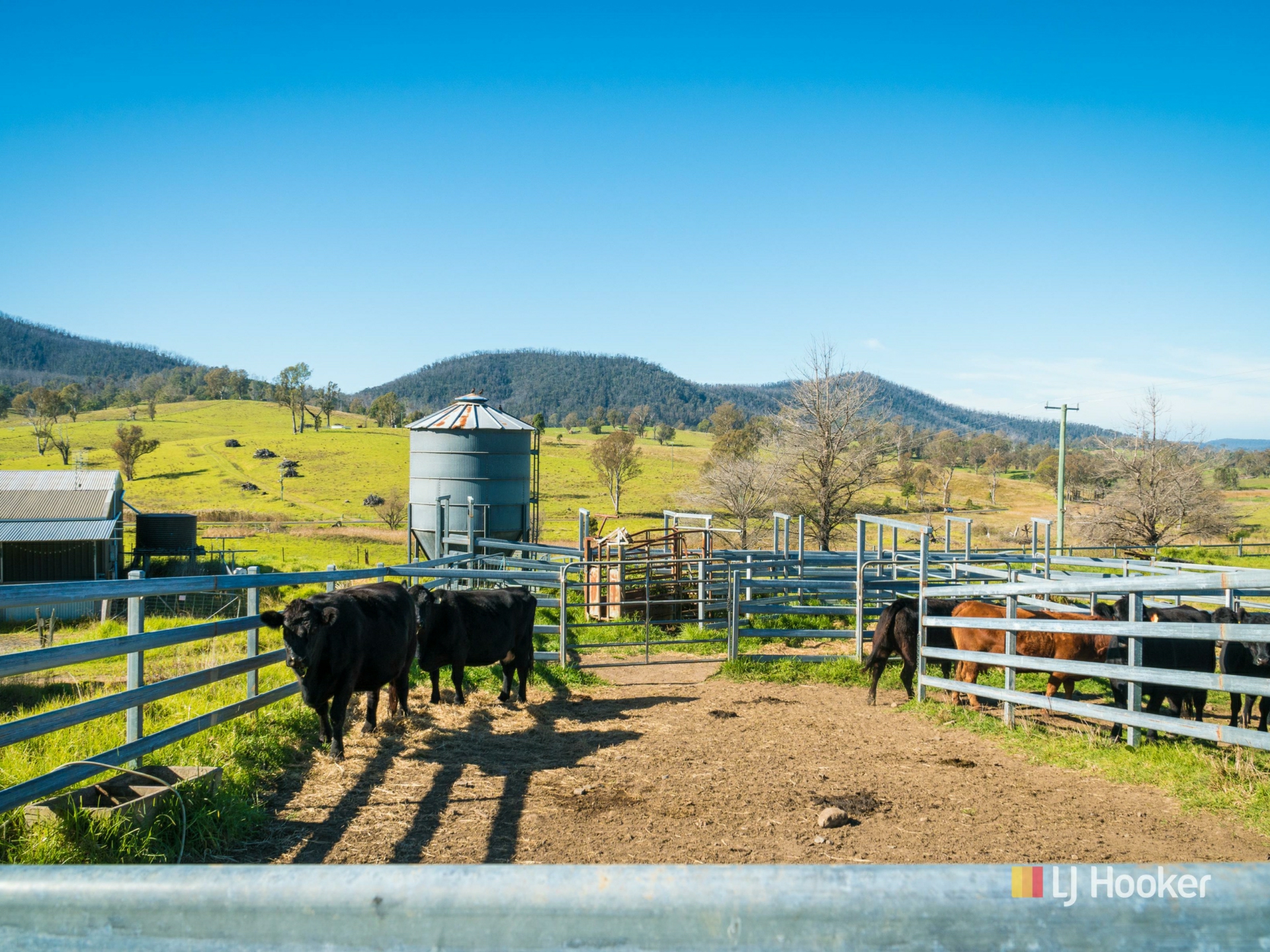 787 Wandella Road, COBARGO