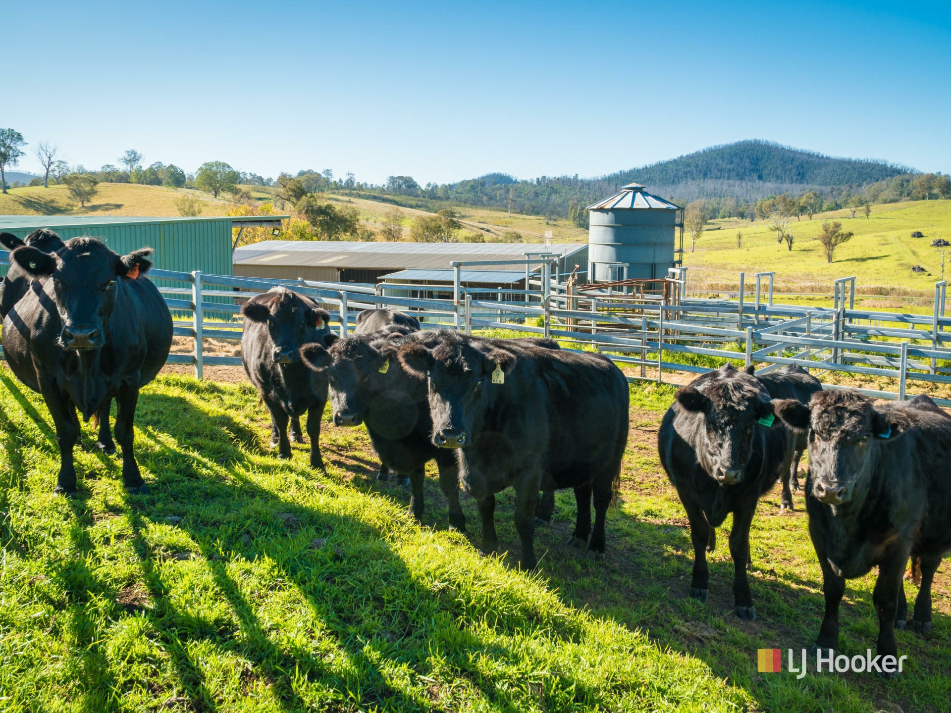 787 Wandella Road, COBARGO