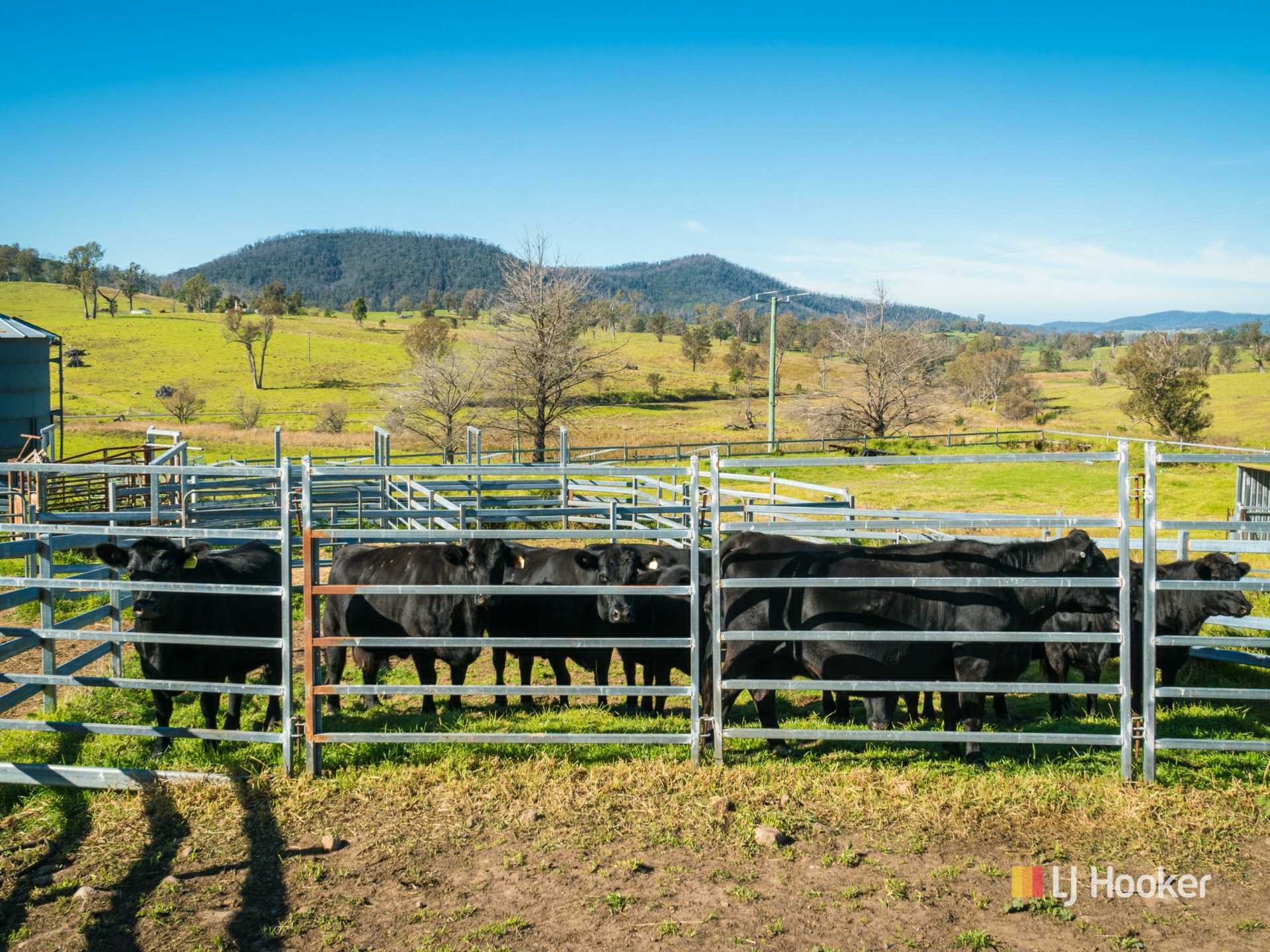 787 Wandella Road, COBARGO