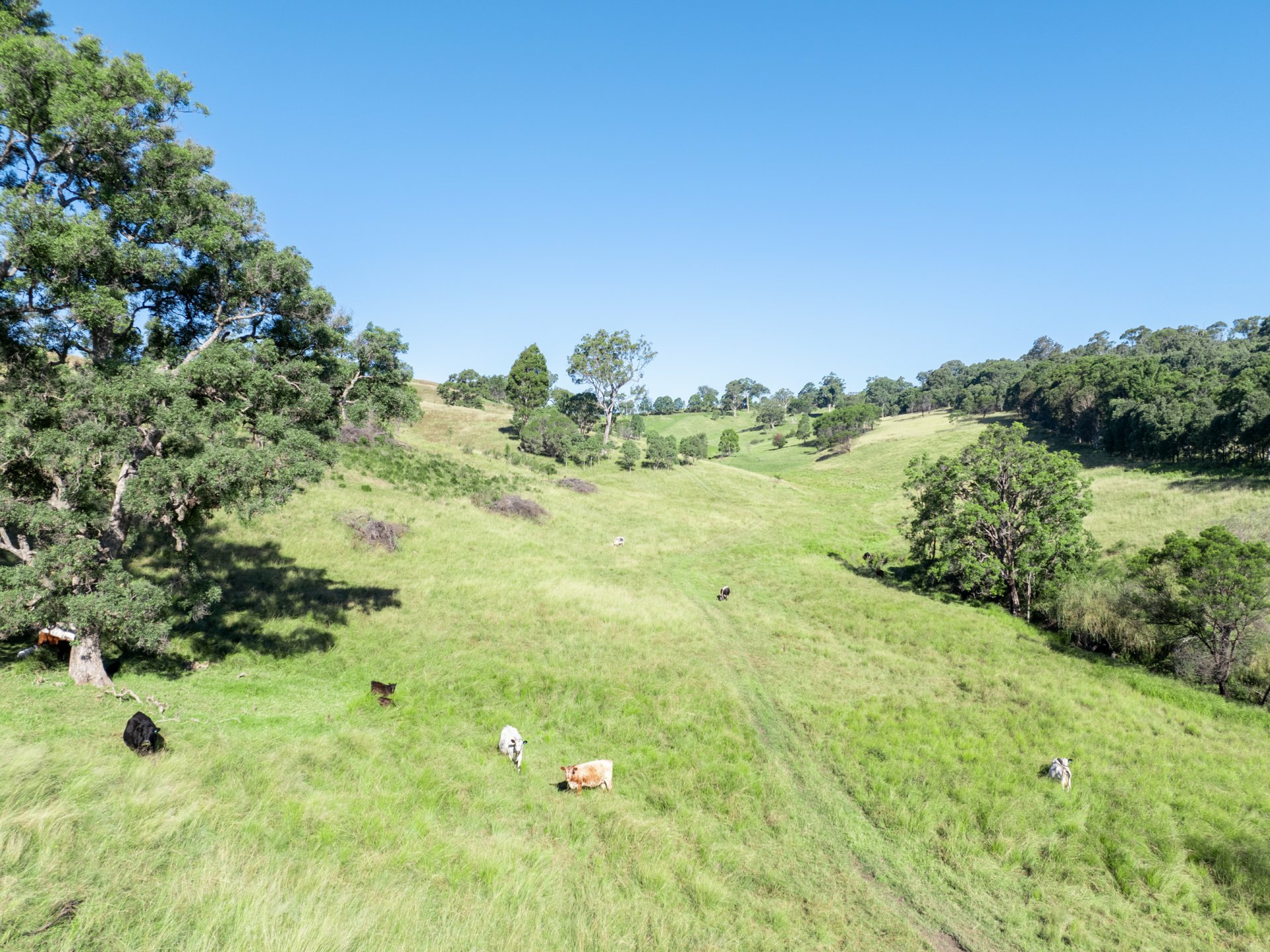 103 Kemps Lane, CANDELO