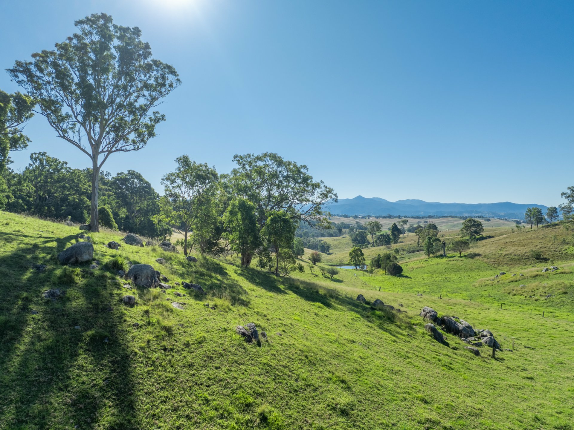 103 Kemps Lane, CANDELO