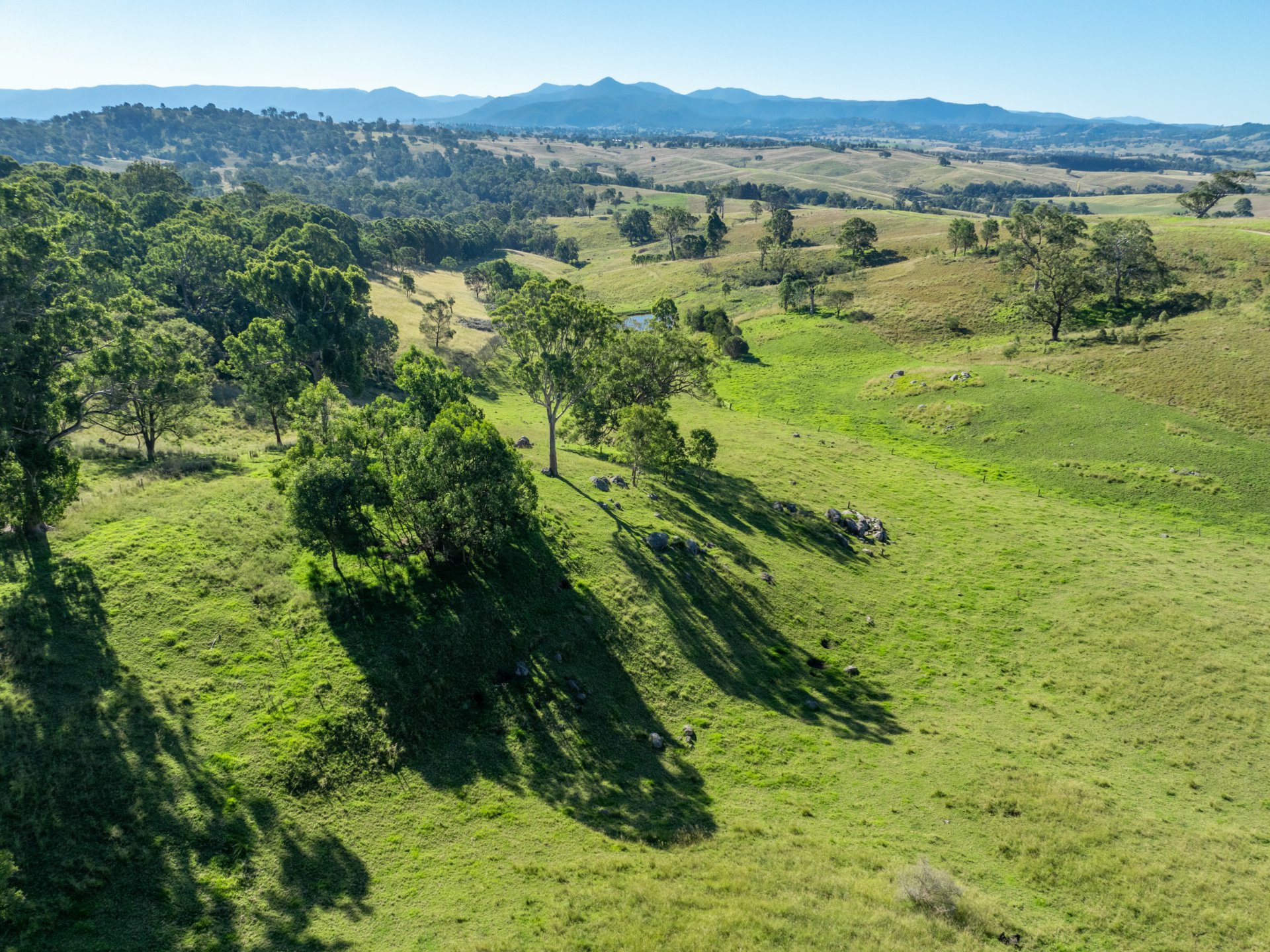 103 Kemps Lane, CANDELO