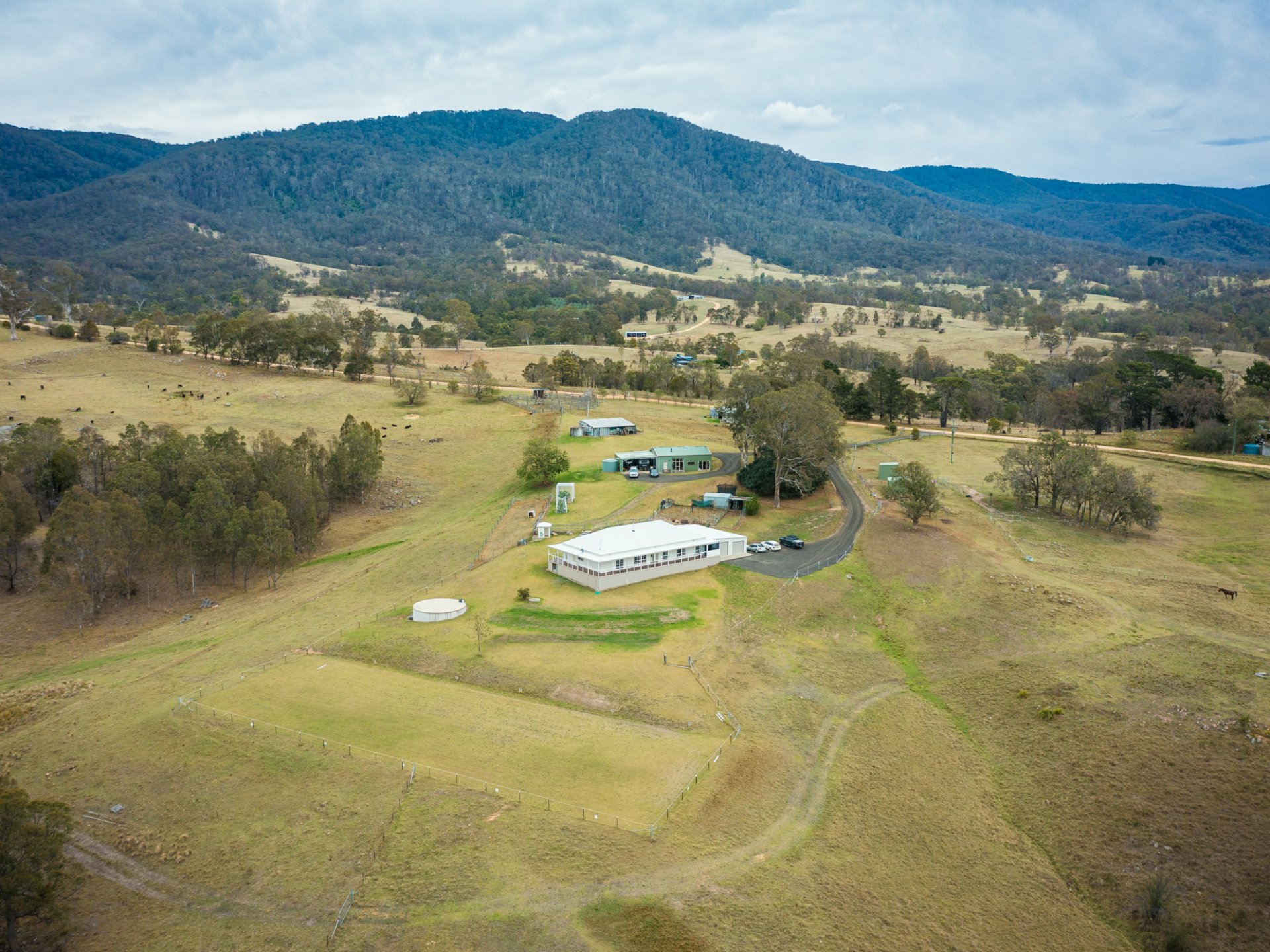 1005 Furners Road Bemboka NSW Property Details LJ Hooker