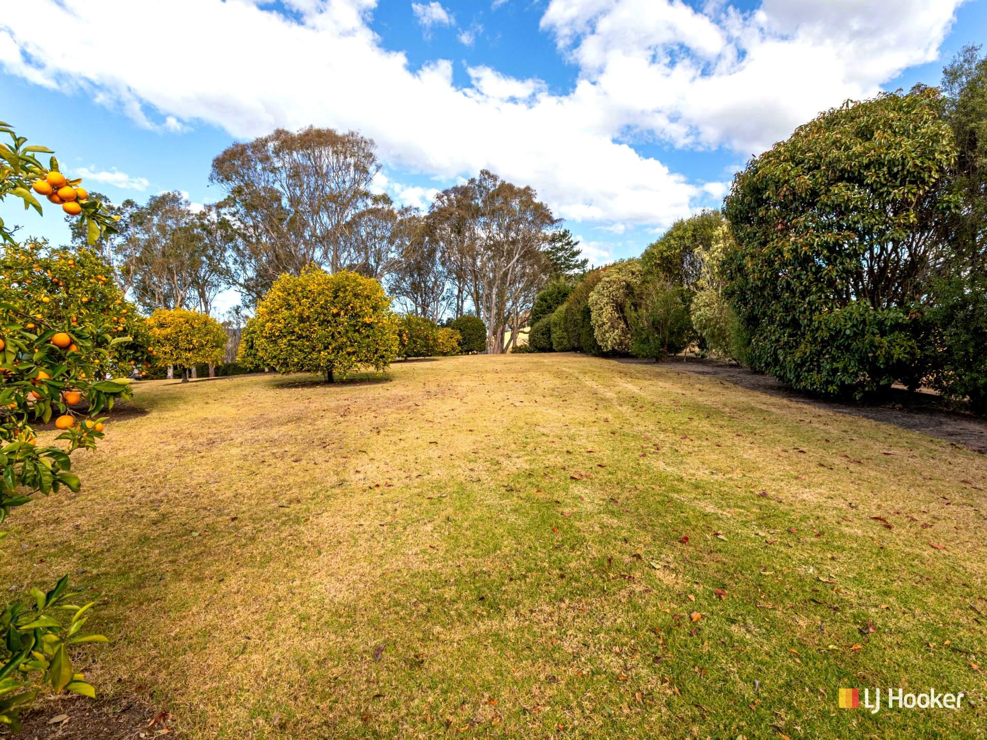 158 Wandella Road, COBARGO