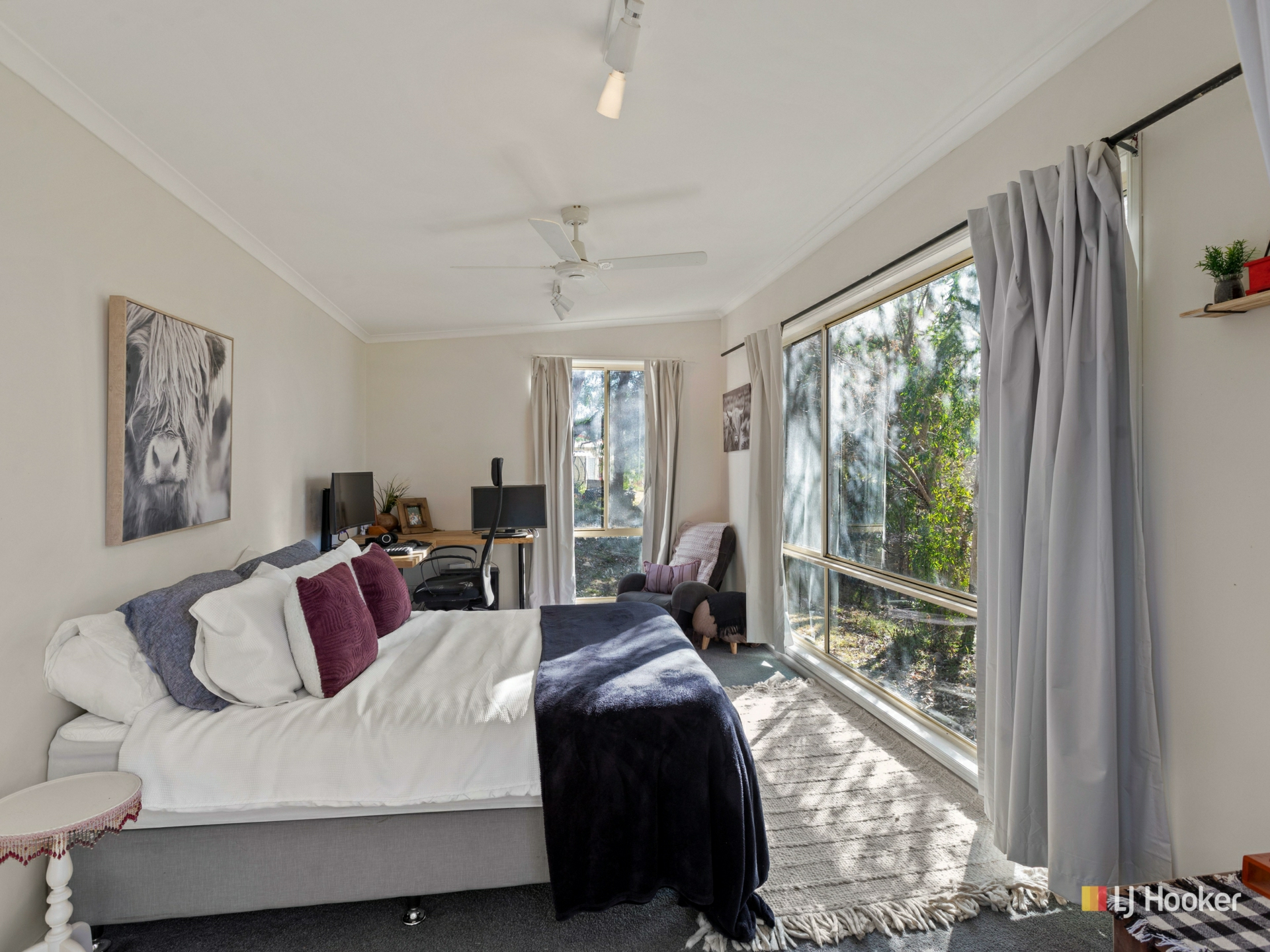43 Auckland Street, CANDELO