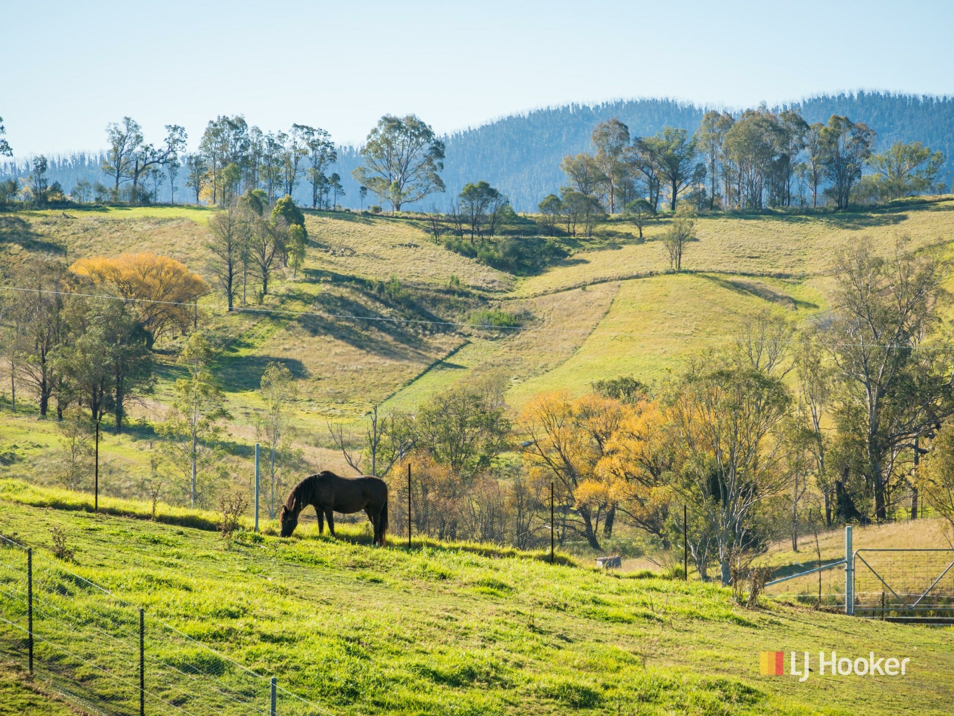 787 Wandella Road, COBARGO
