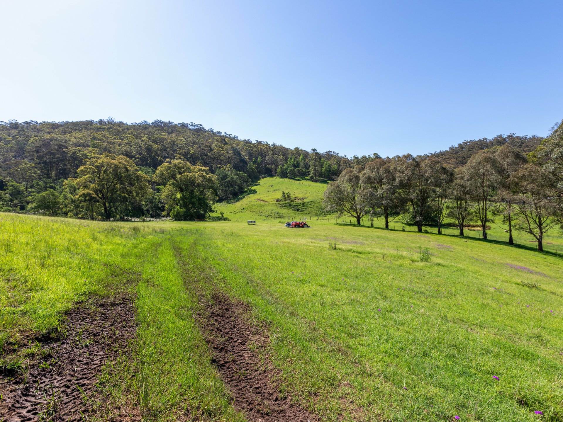 189 Ferndale Lane Wolumla NSW - AcreageSemi-rural for Sale - LJ Hooker