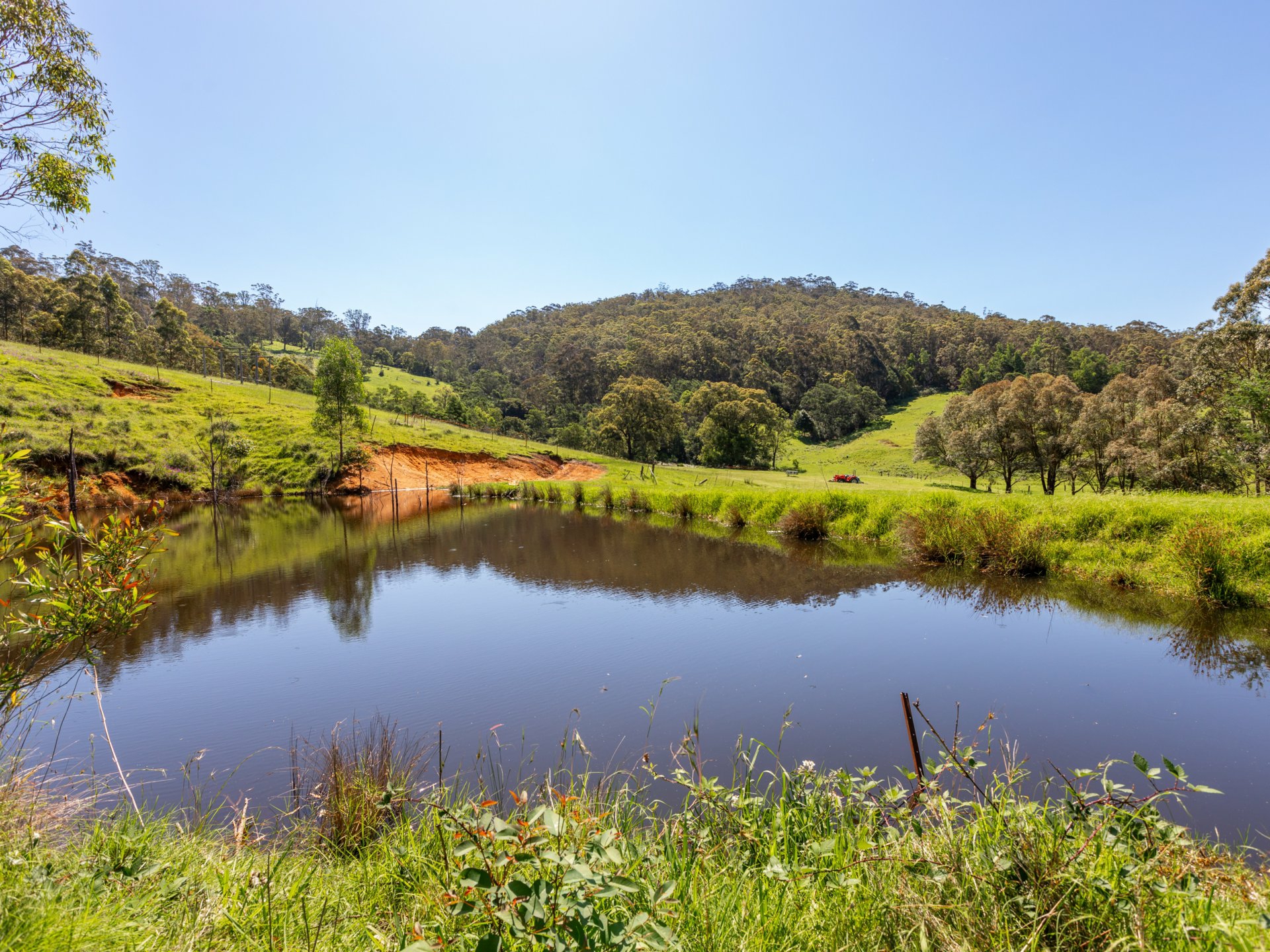 189 Ferndale Lane Wolumla NSW AcreageSemirural for Sale LJ Hooker