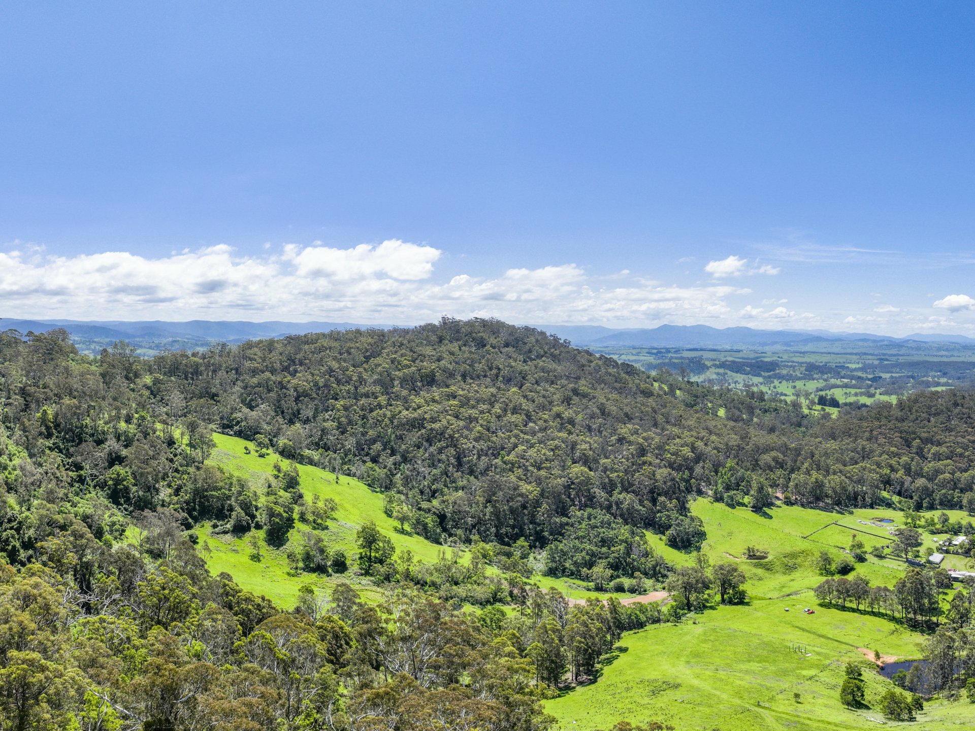 189 Ferndale Lane Wolumla NSW AcreageSemirural for Sale LJ Hooker